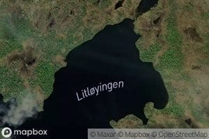 Litloyingen