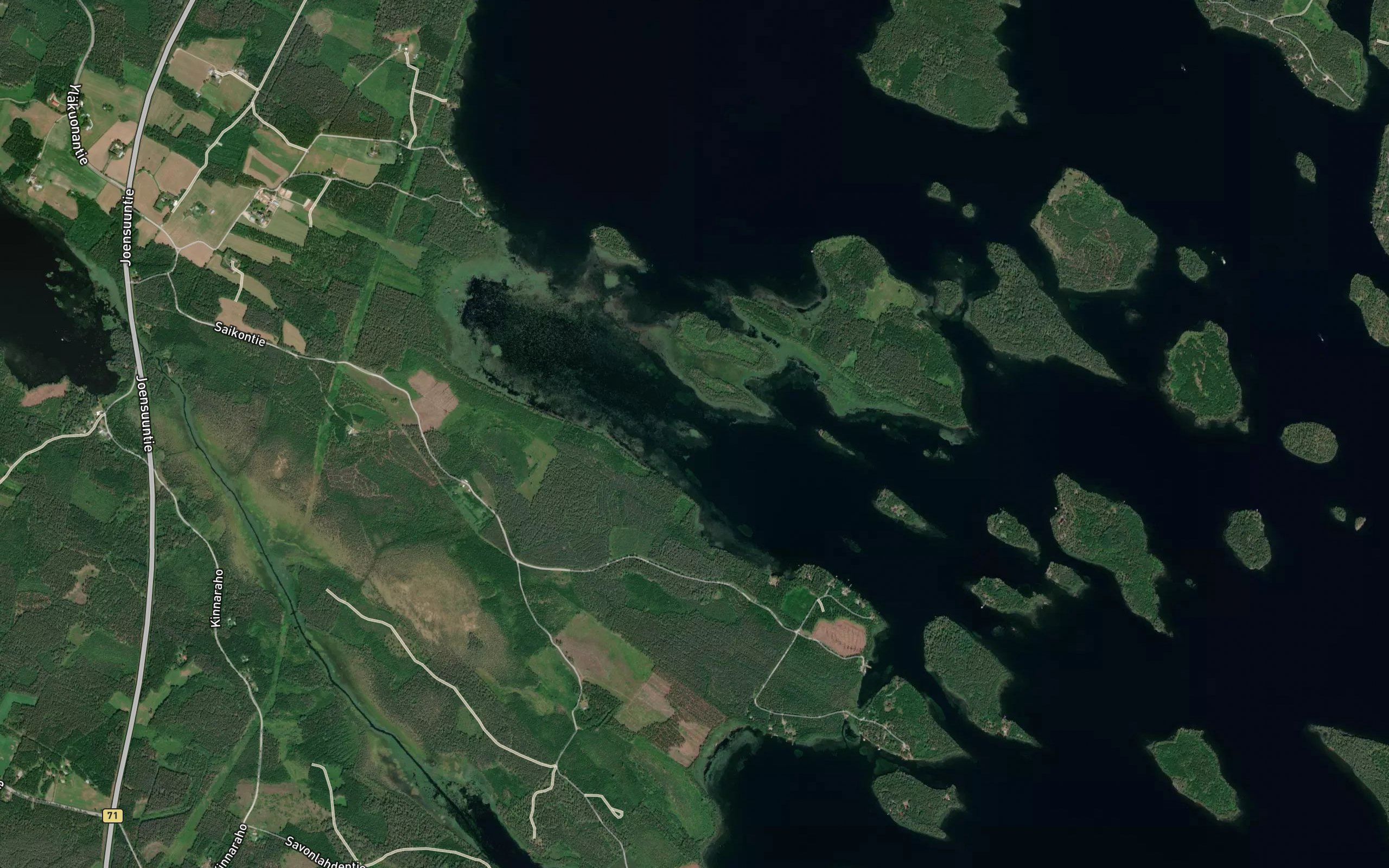 Suviluoto