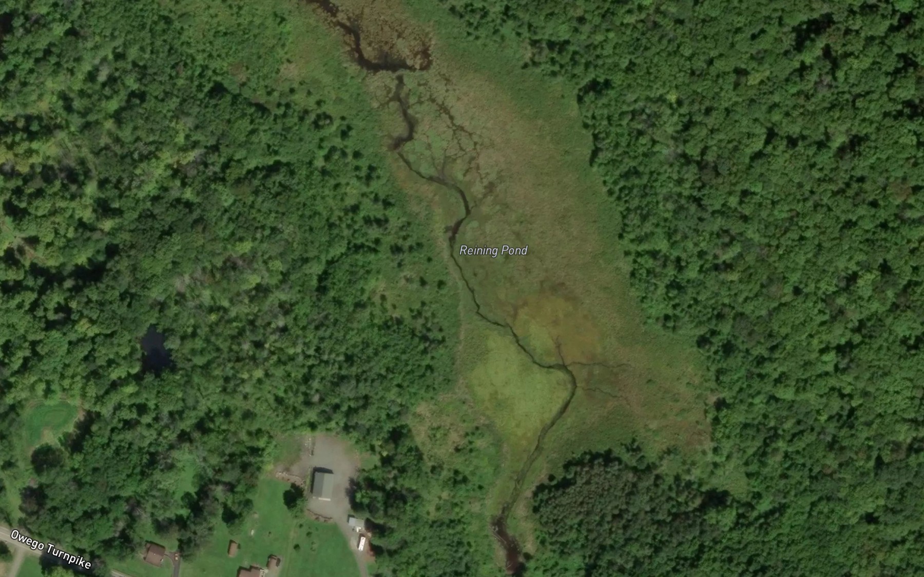 Satellite map of the Reining Pond