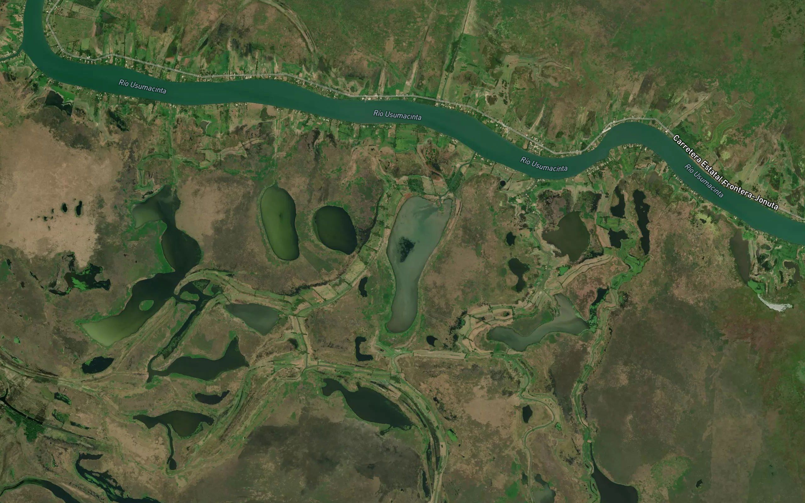 Laguna el Guanal