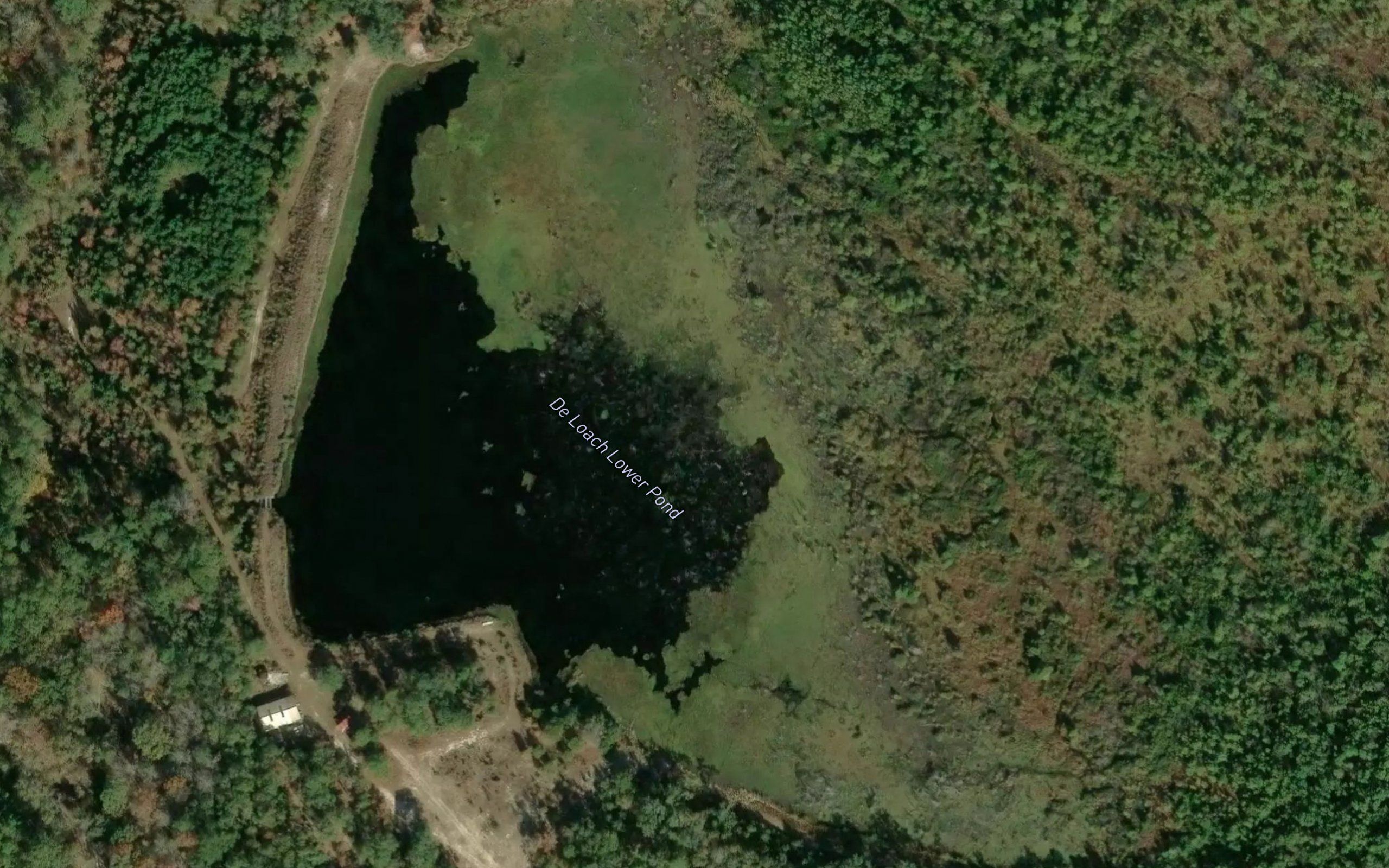 De Loach Lower Pond
