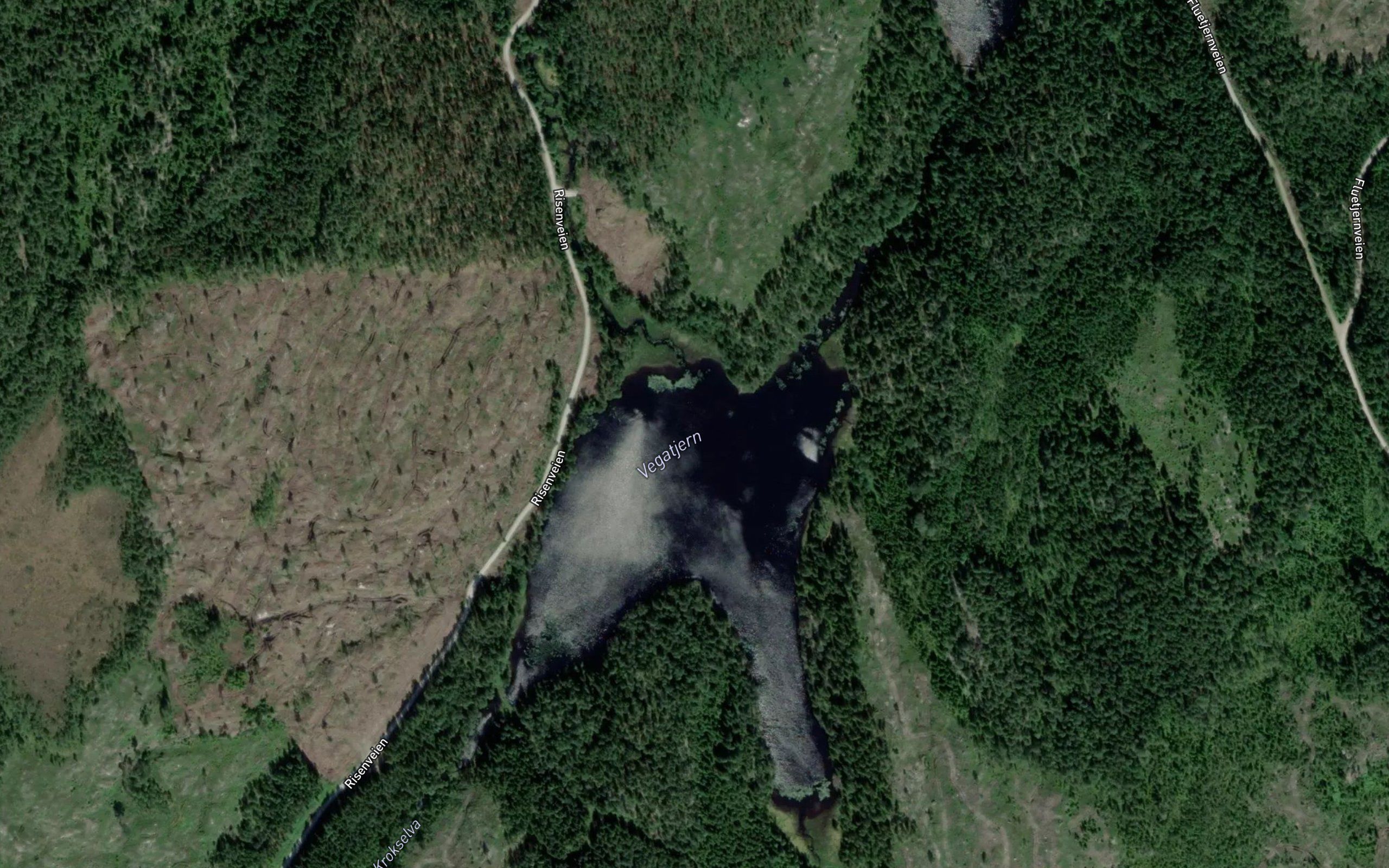 Vegatjern
