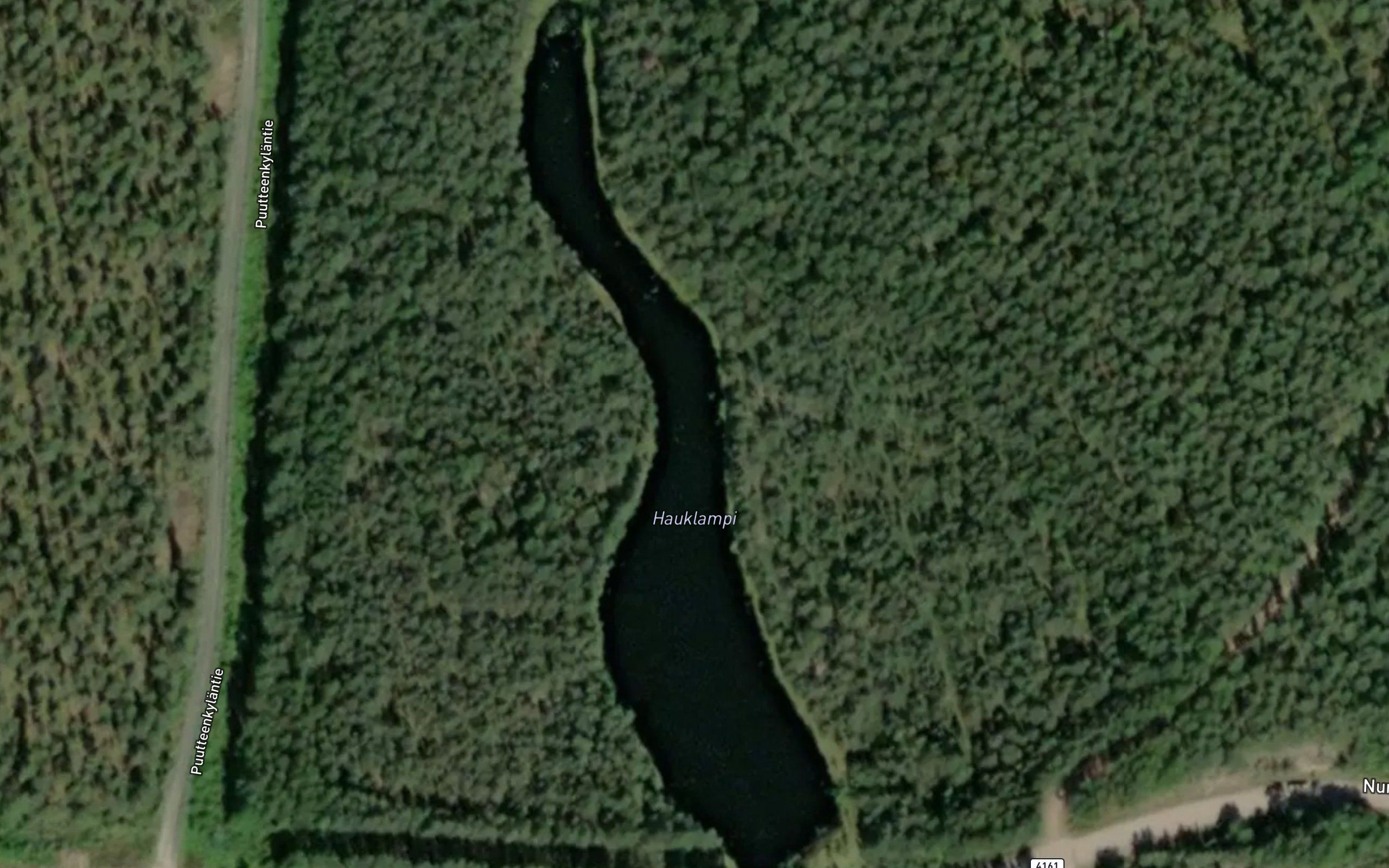 Hauklampi