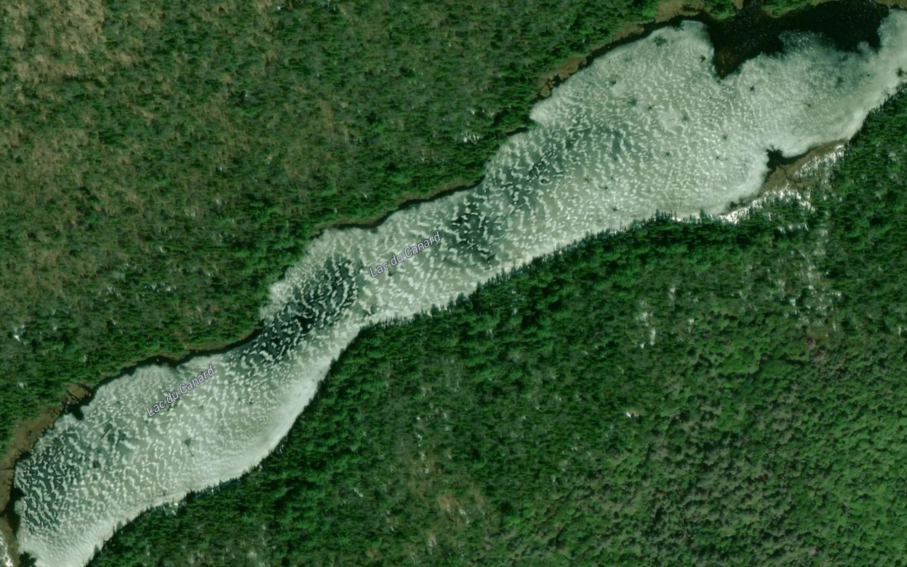 Satellite map of the Lac du Canard