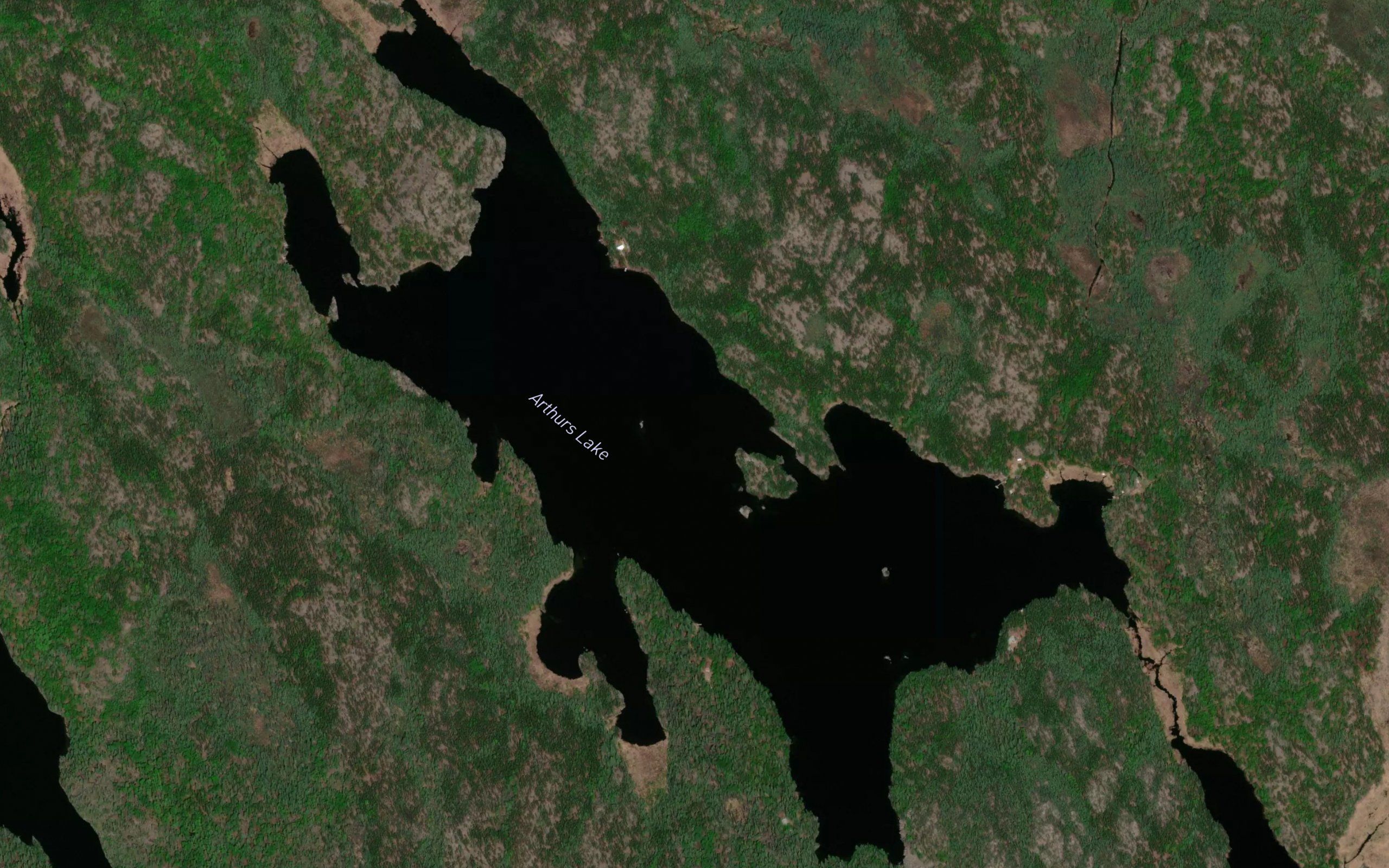 Arthurs Lake