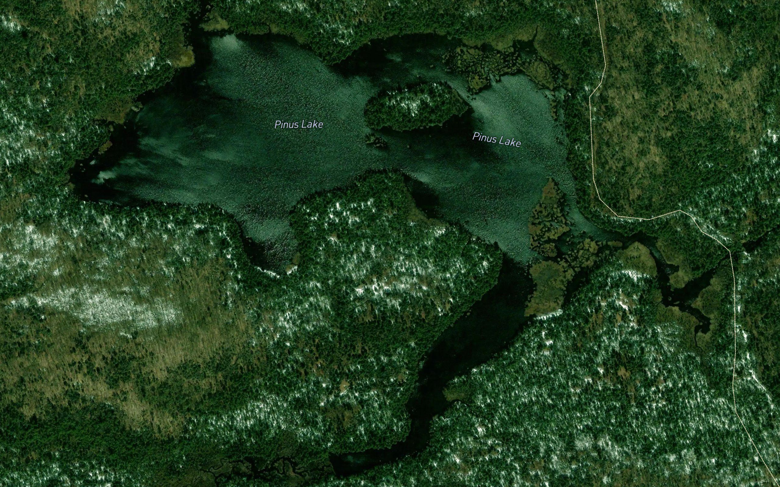 Pinus Lake