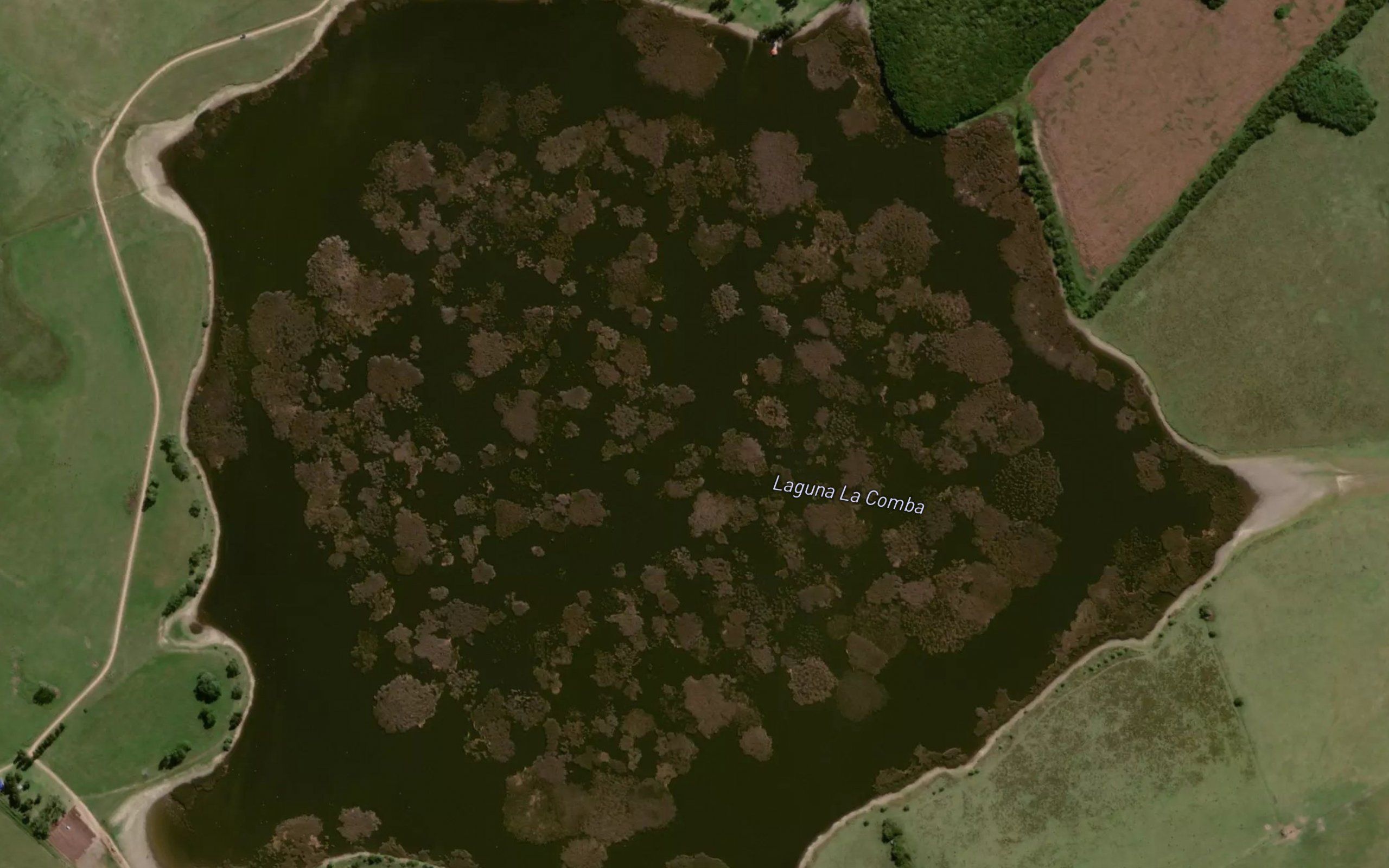 Laguna La Comba