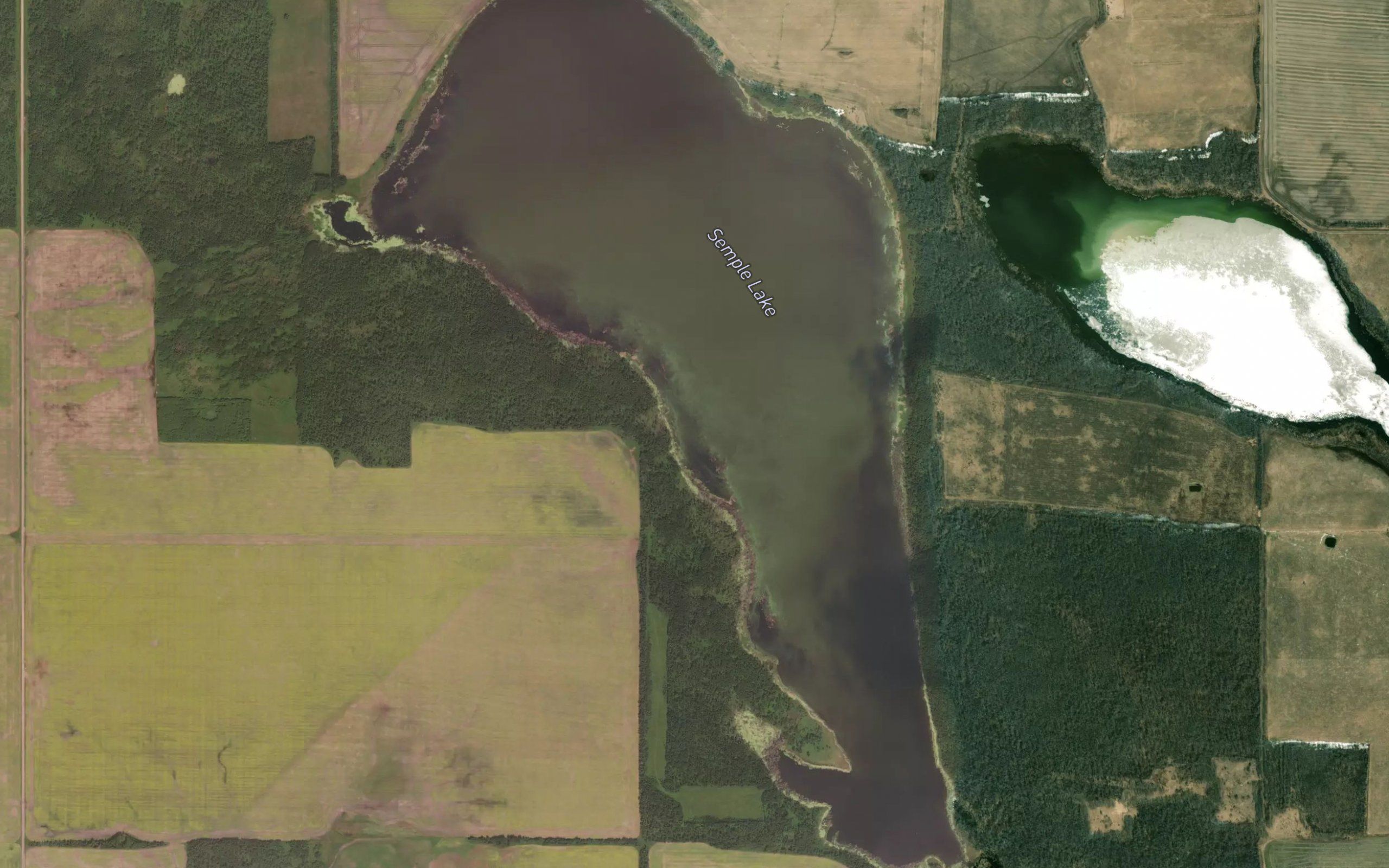 Semple Lake