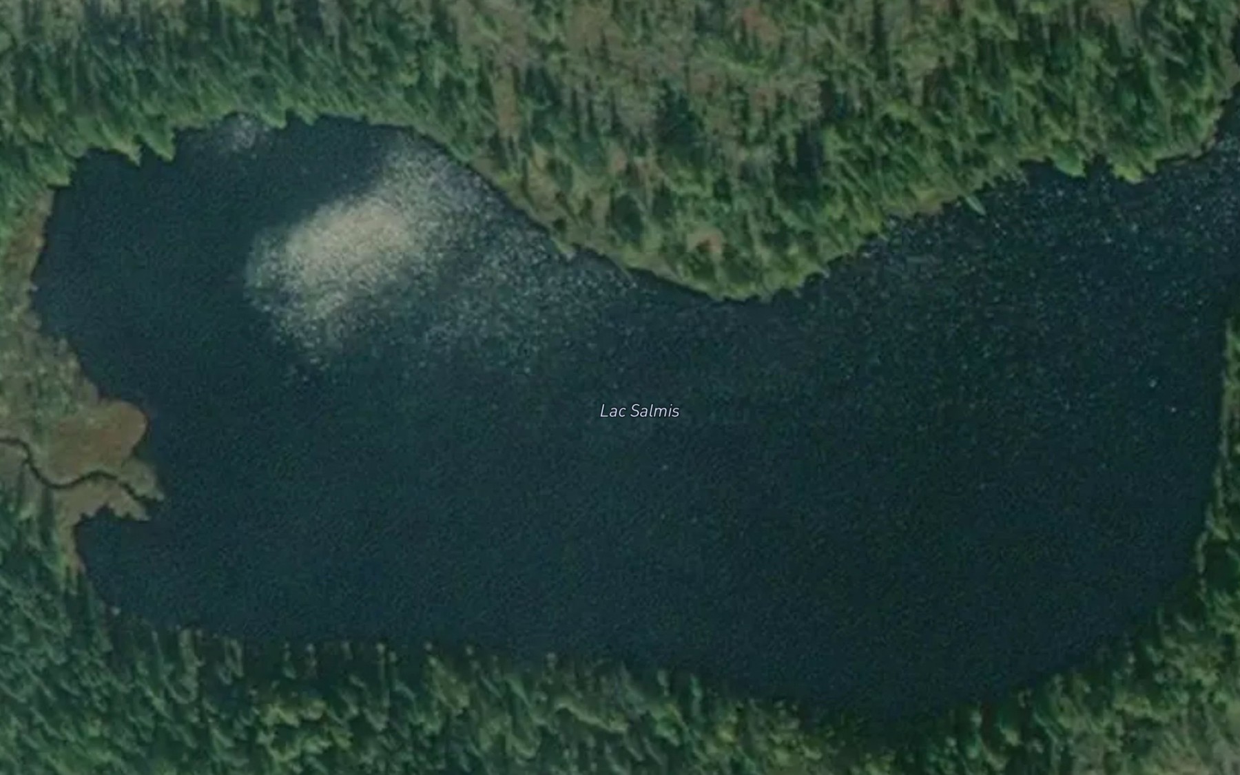 Satellite map of the Lac Salmis