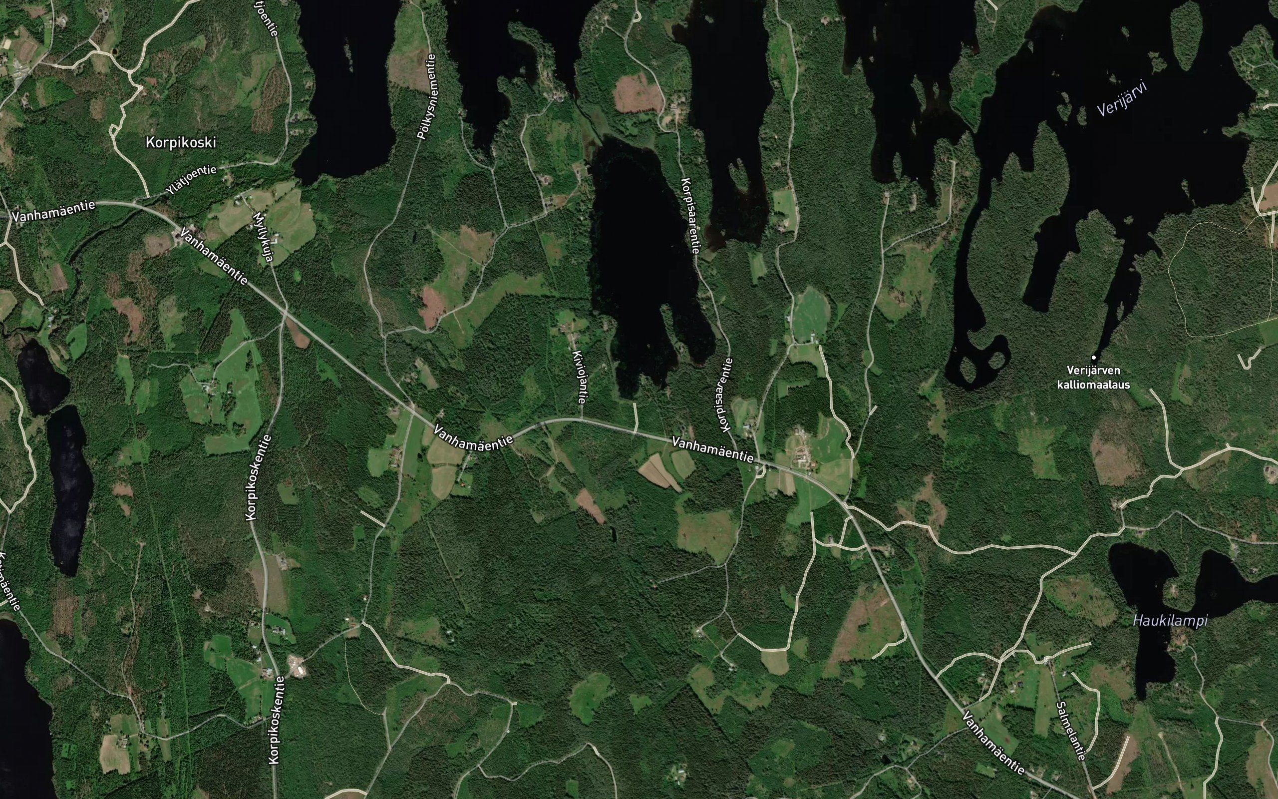 Purunoja