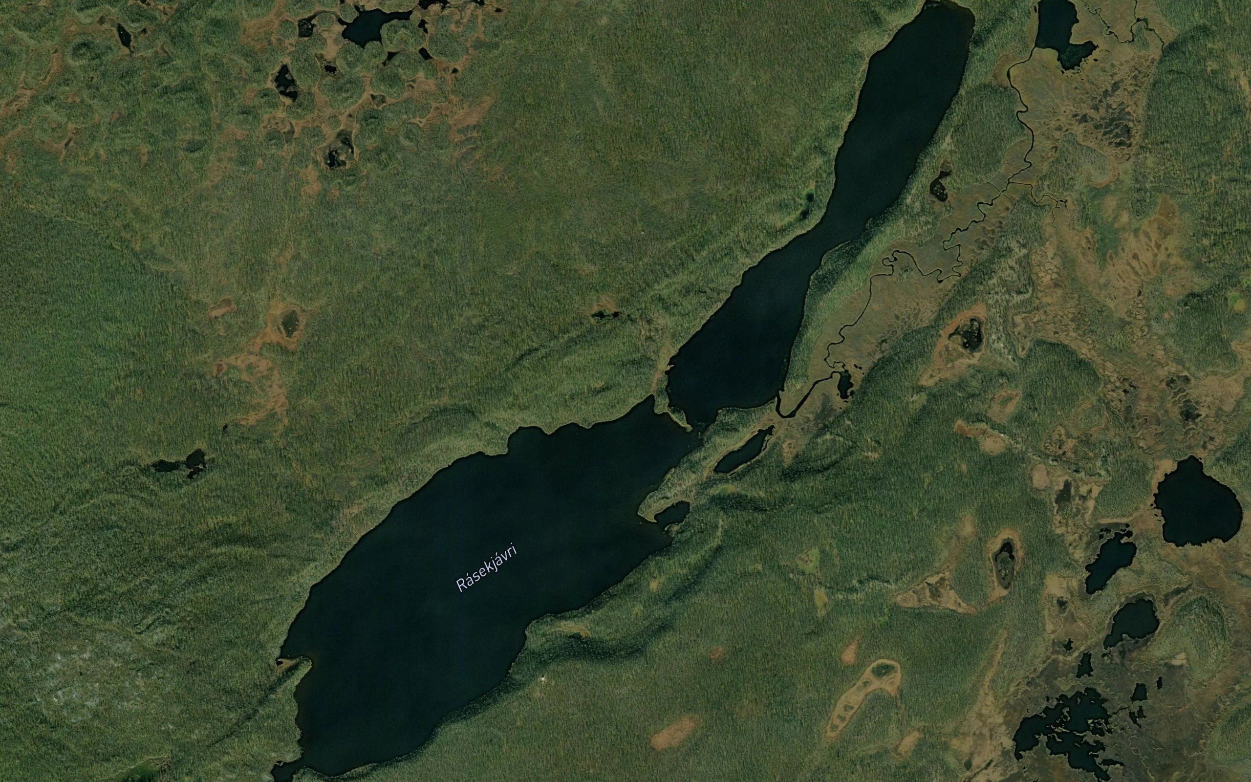 Rasekjavri