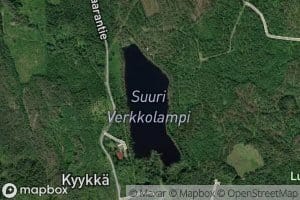 Suuri Verkkolampi