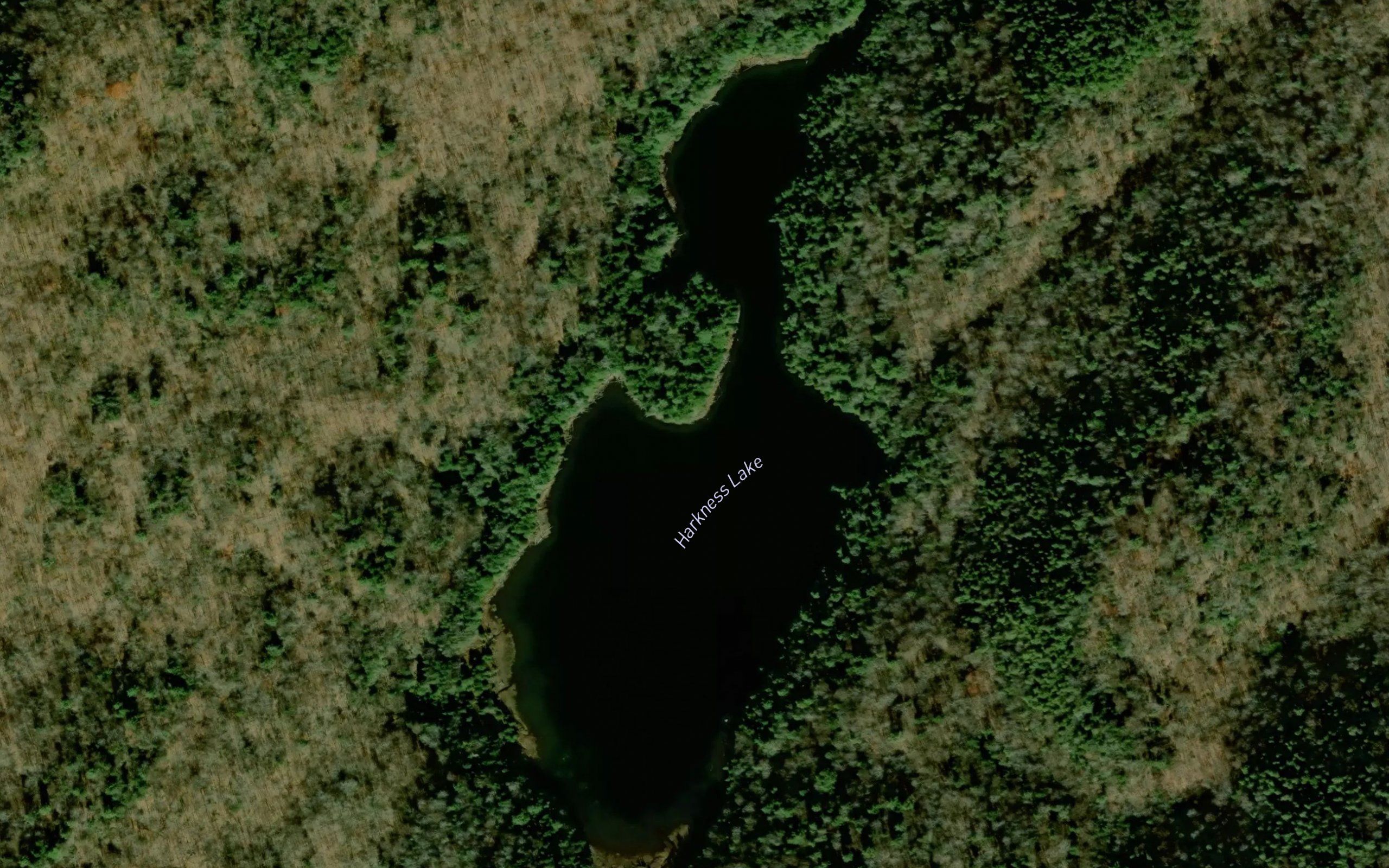 Harkness Lake