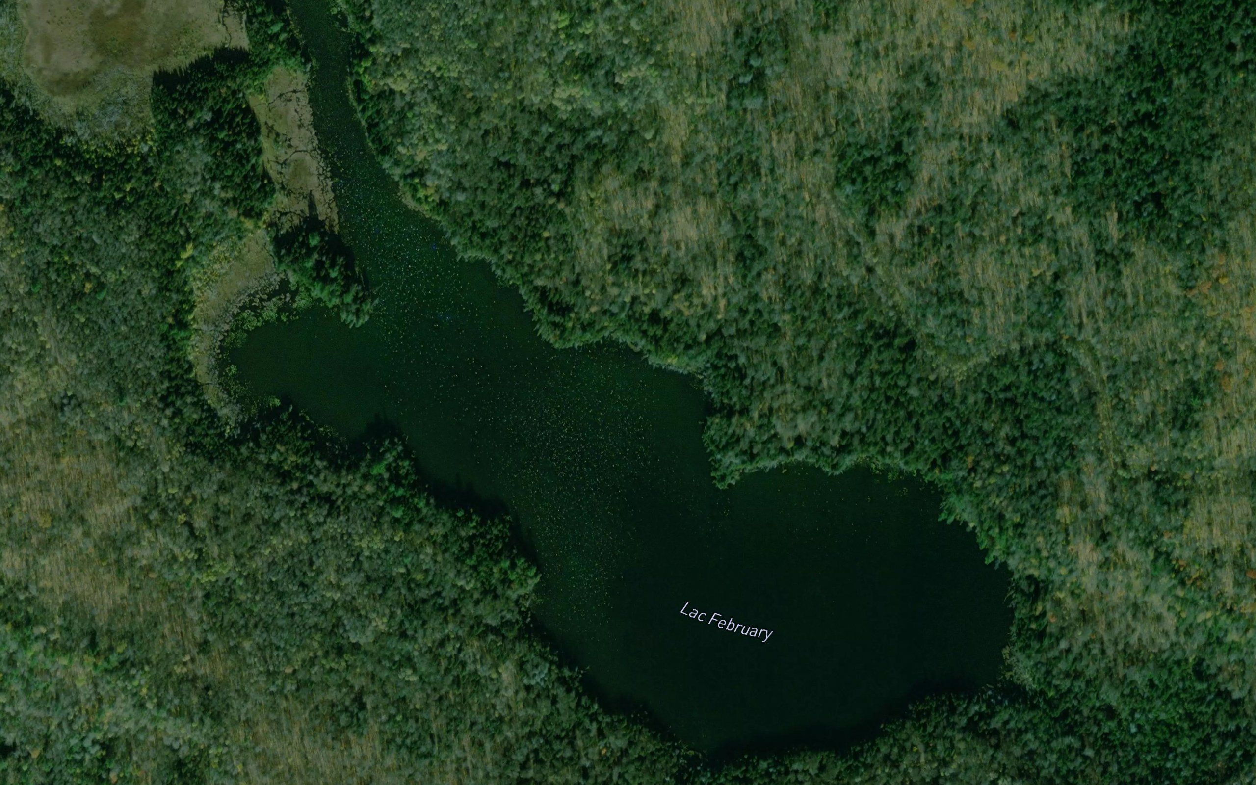 Lac February