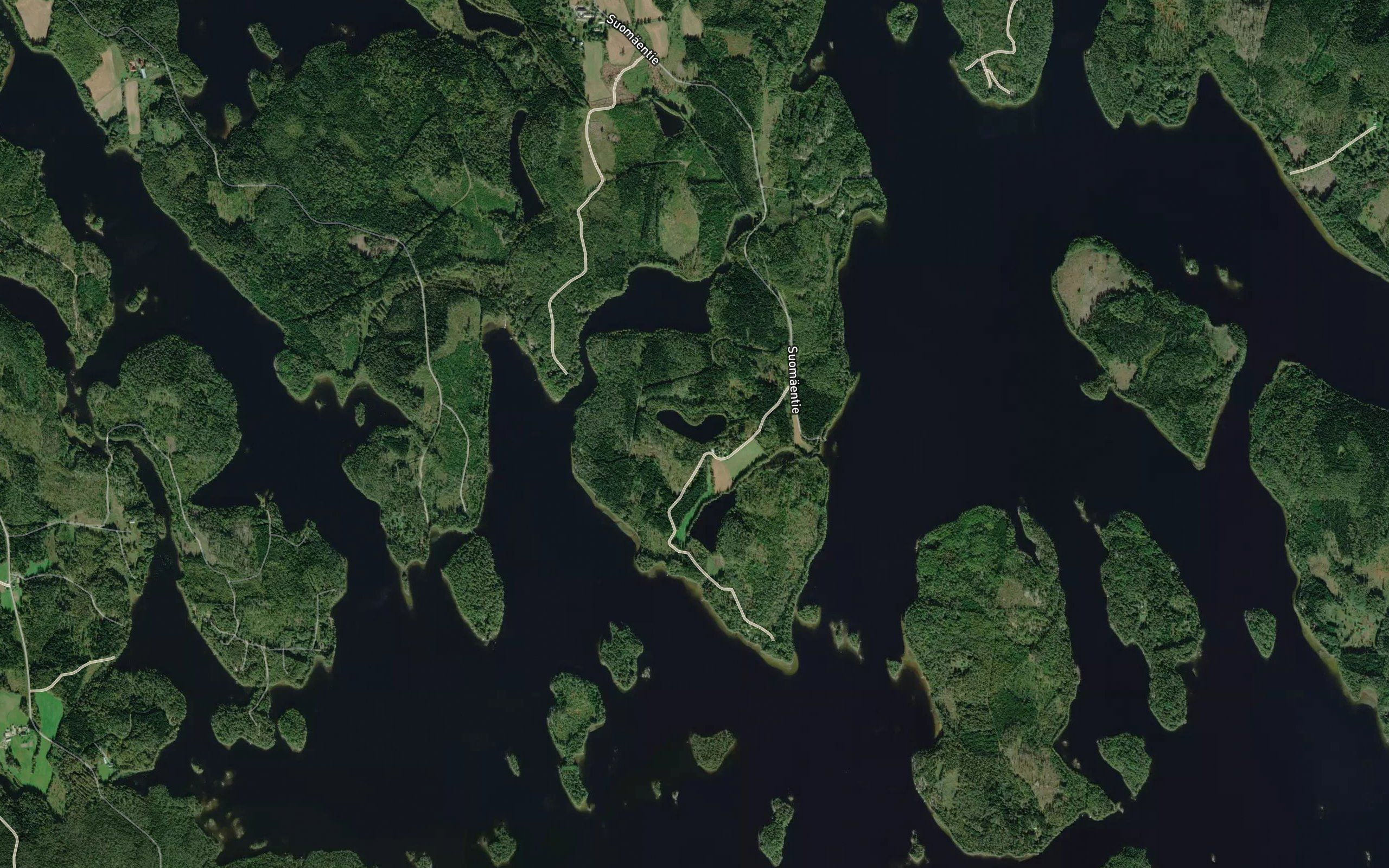Haukkalampi
