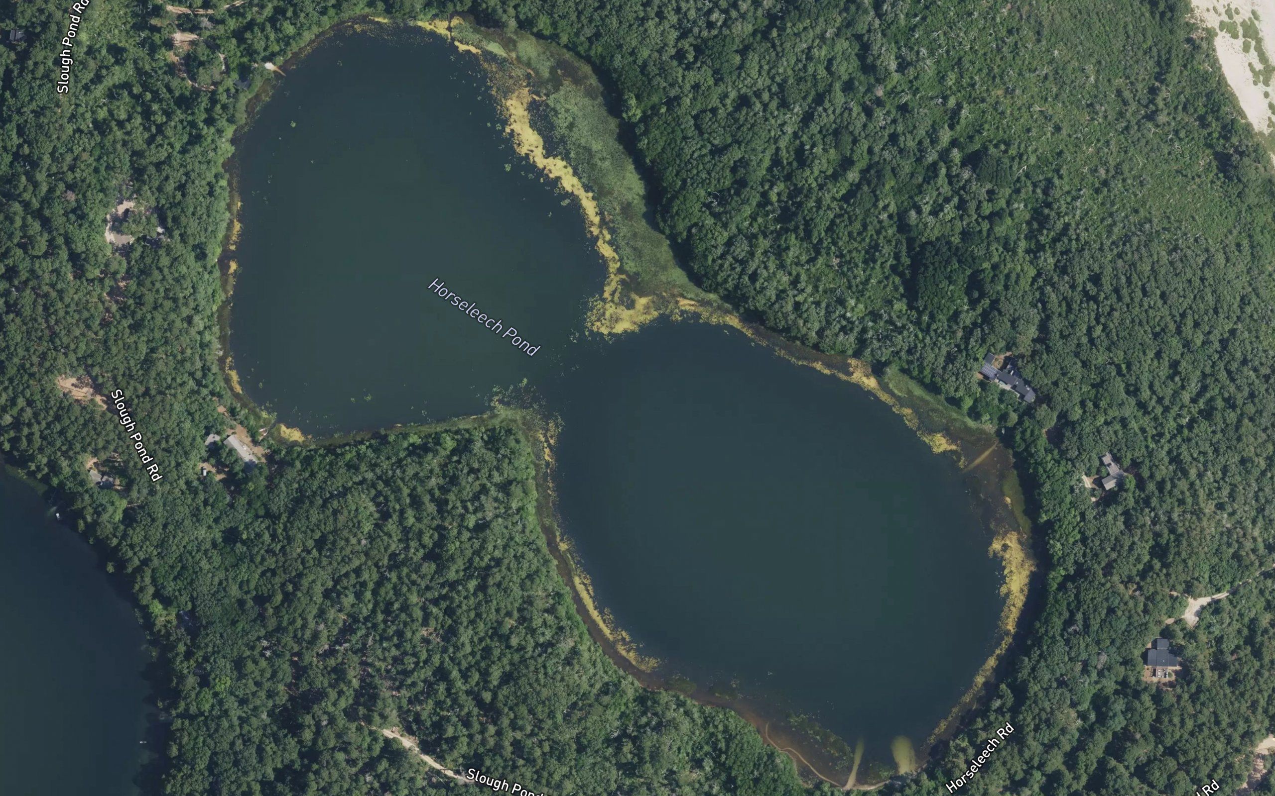 Horseleech Pond