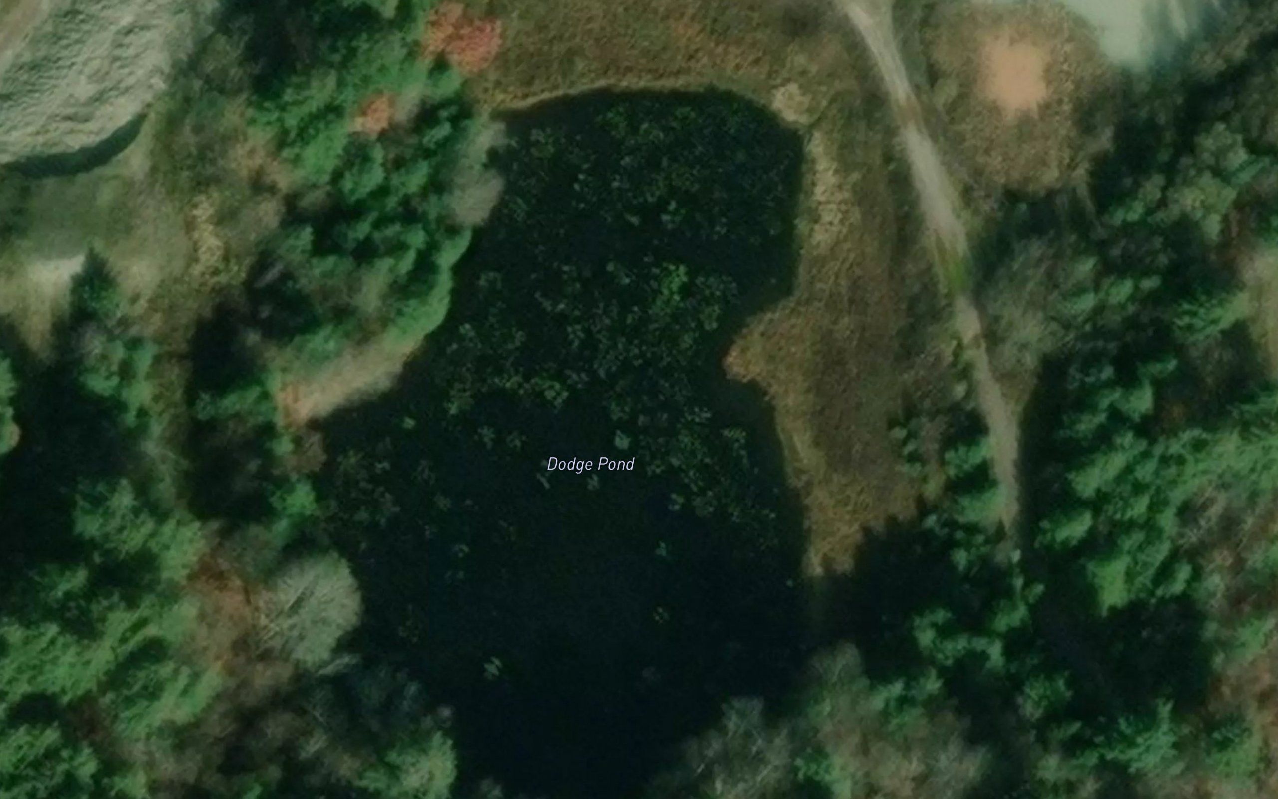Dodge Pond