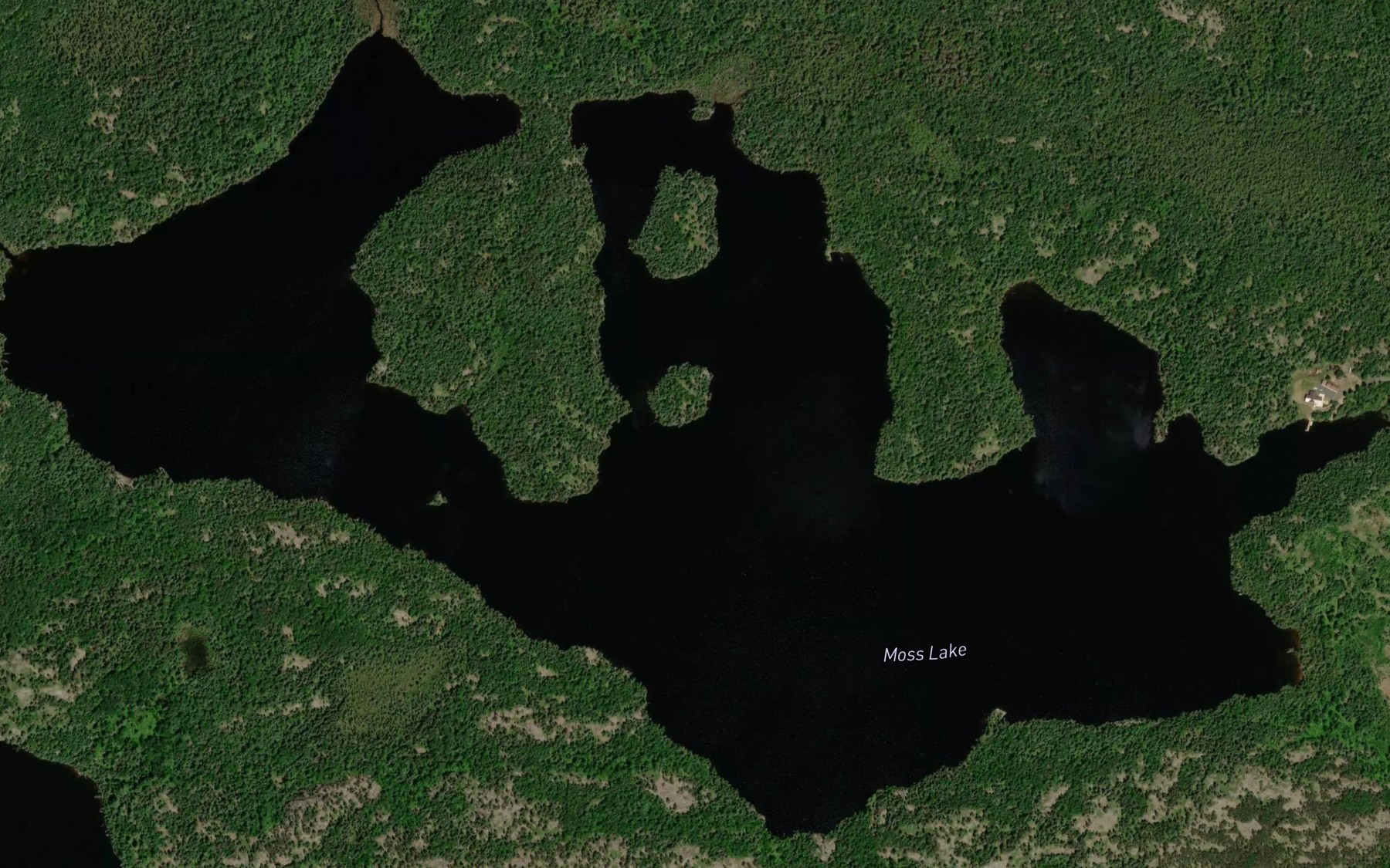 Satellite map of the Moss Lake