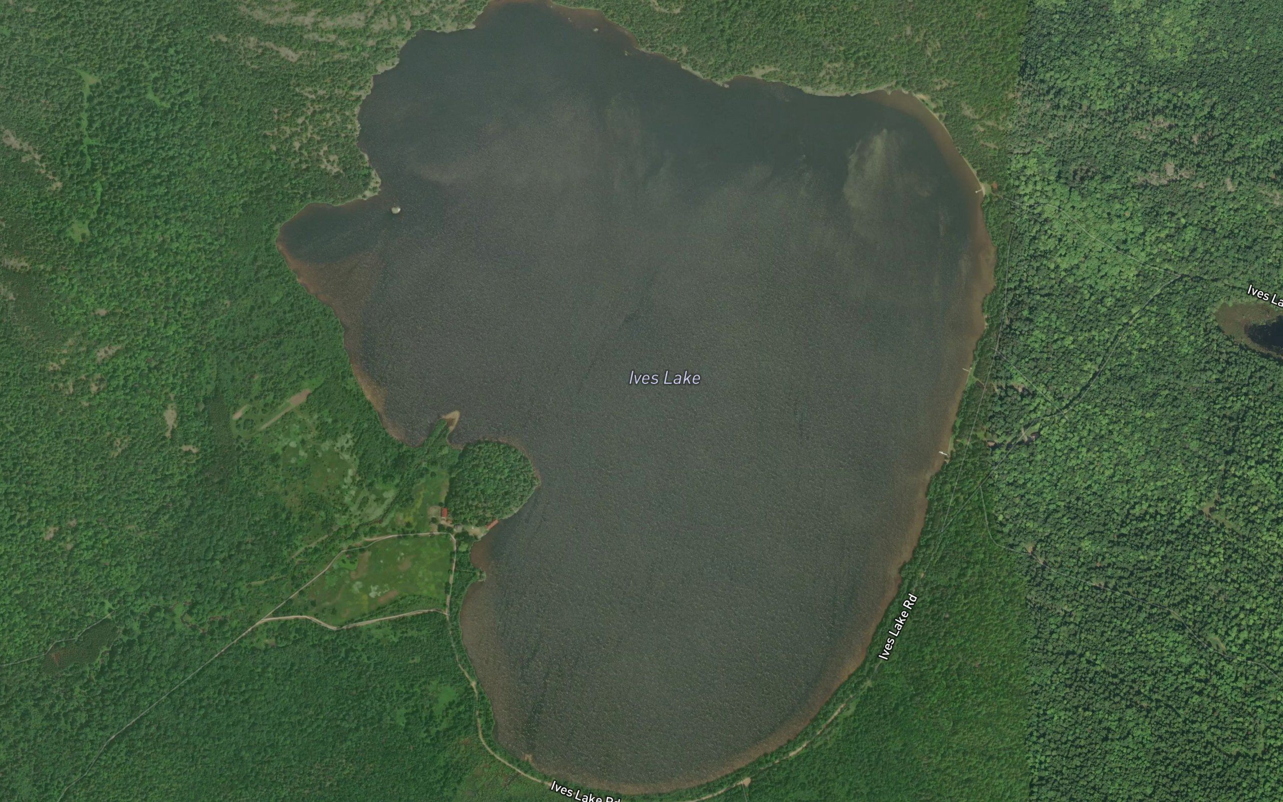Ives Lake