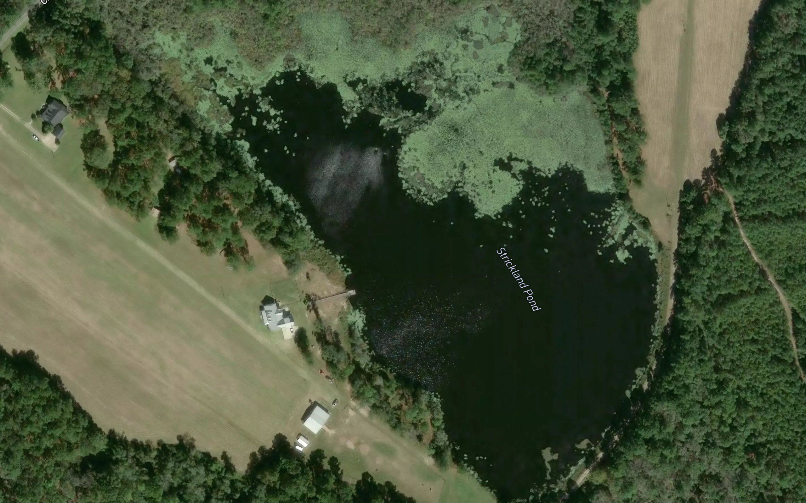 Strickland Pond (historical)