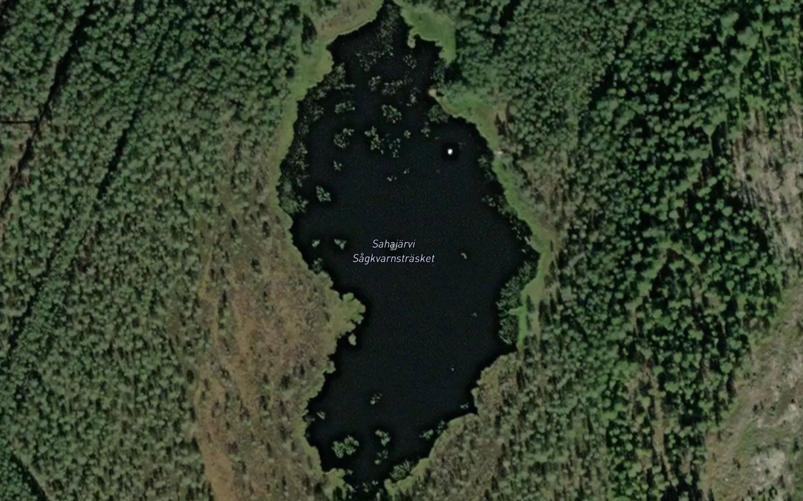 Sagkvarnstrasket