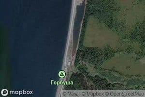 Gorbusha