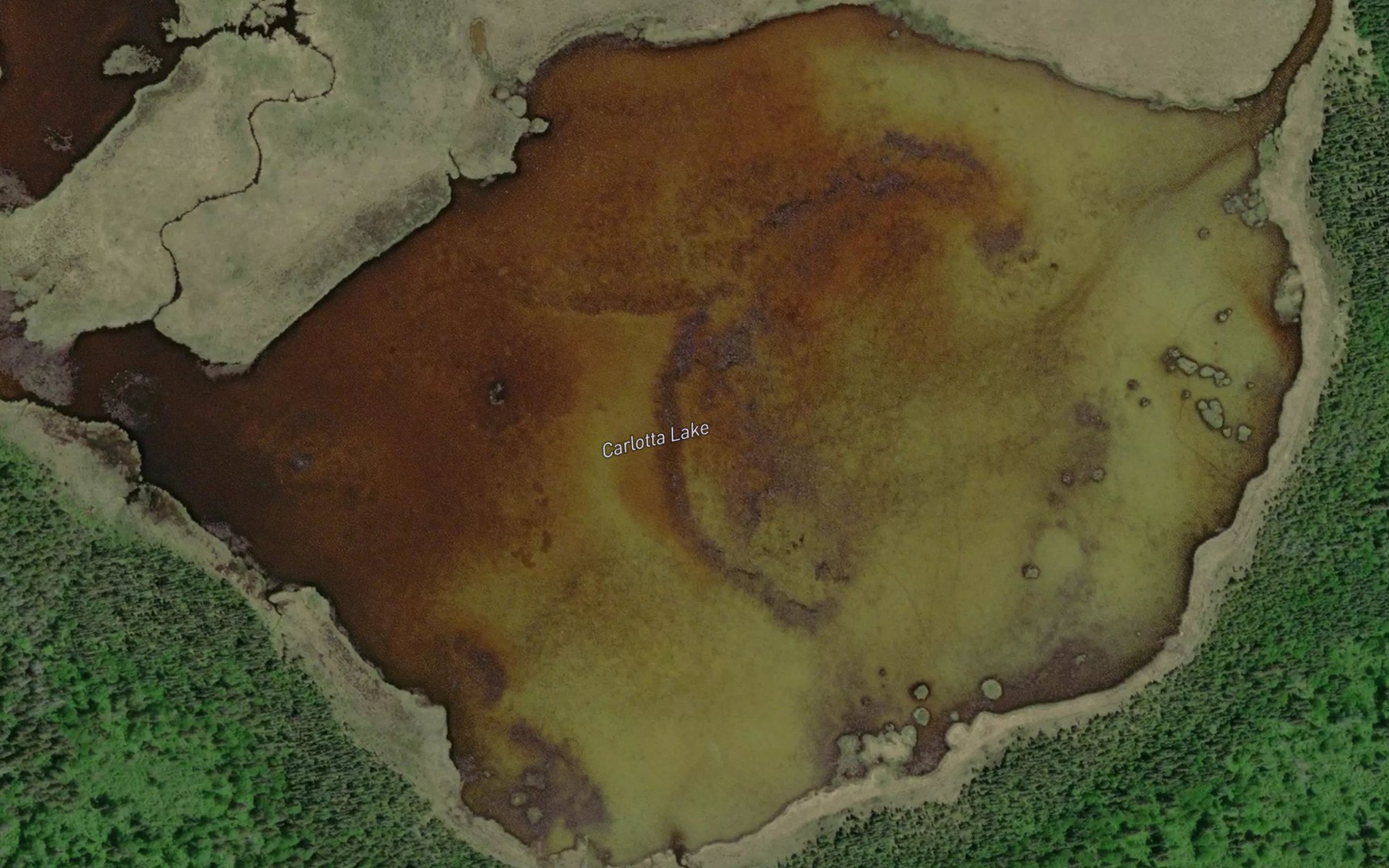 Satellite map of the Carlotta Lake