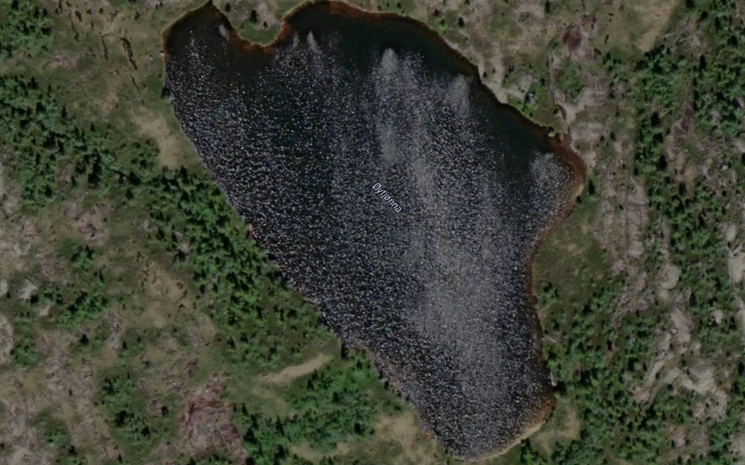 Oytjornane