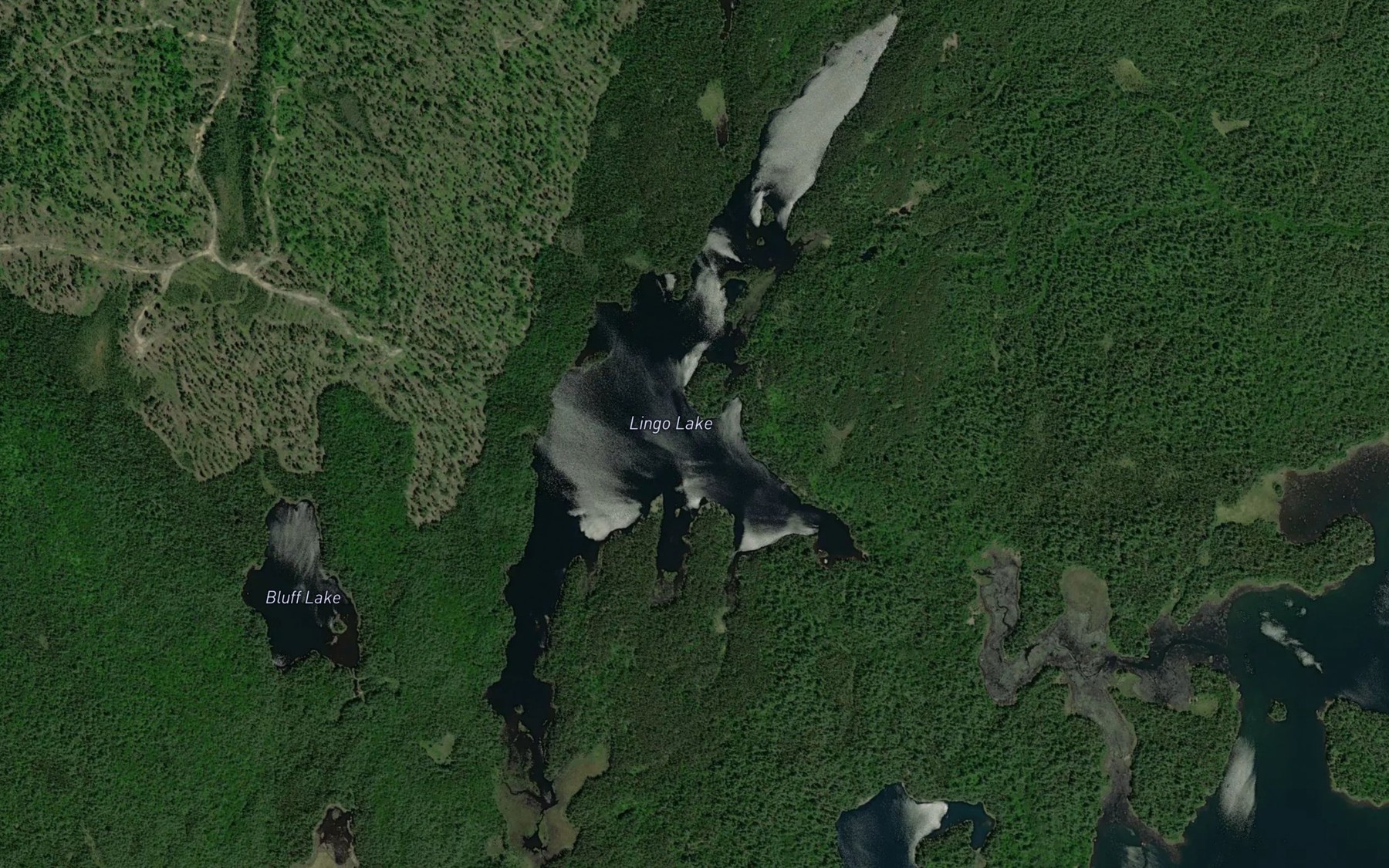 Satellite map of the Lingo Lake