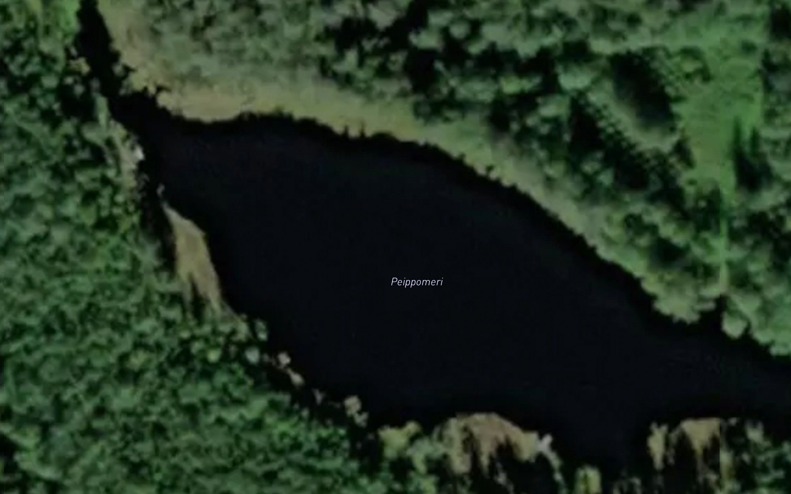 Peippomeri