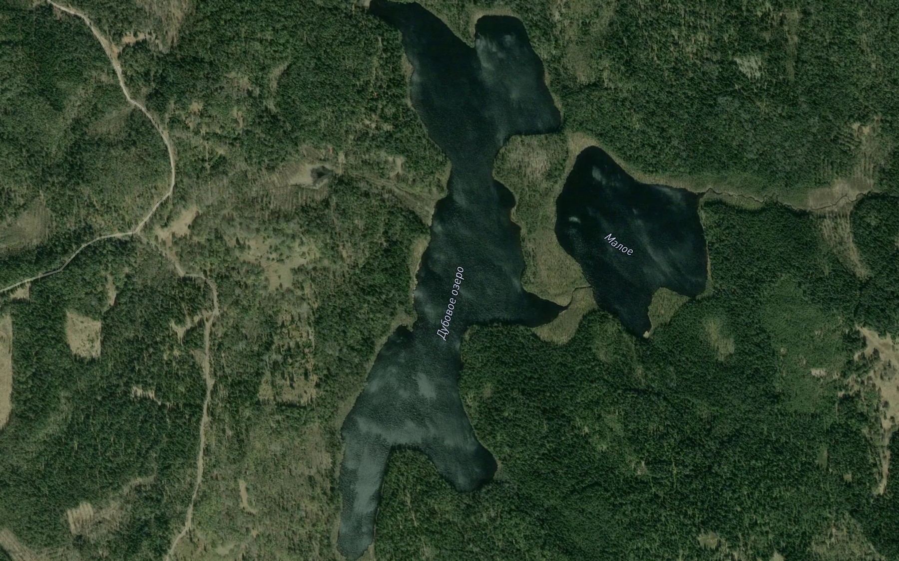 Satellite map of the oz. Dupovoje