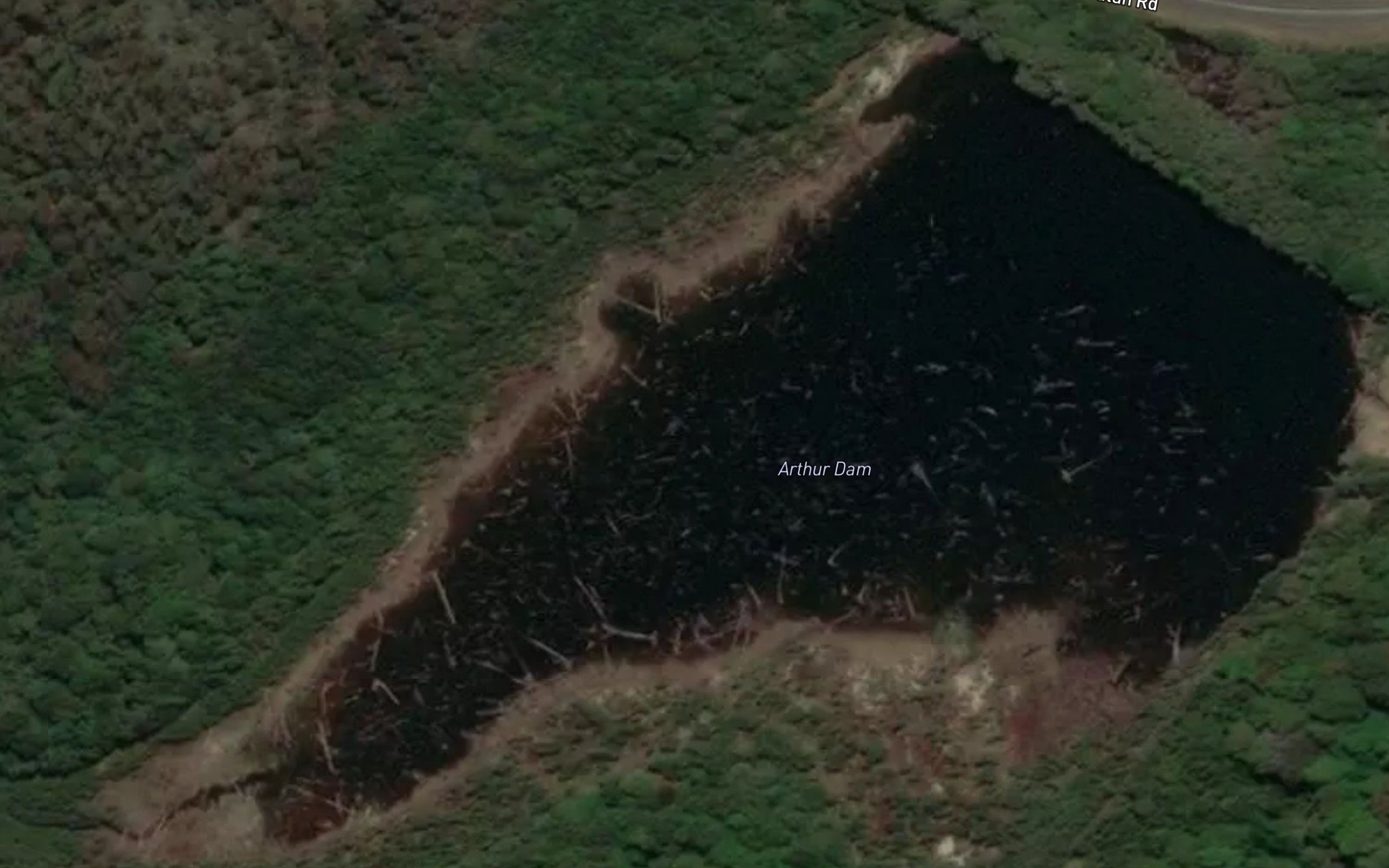 Arthur Dam