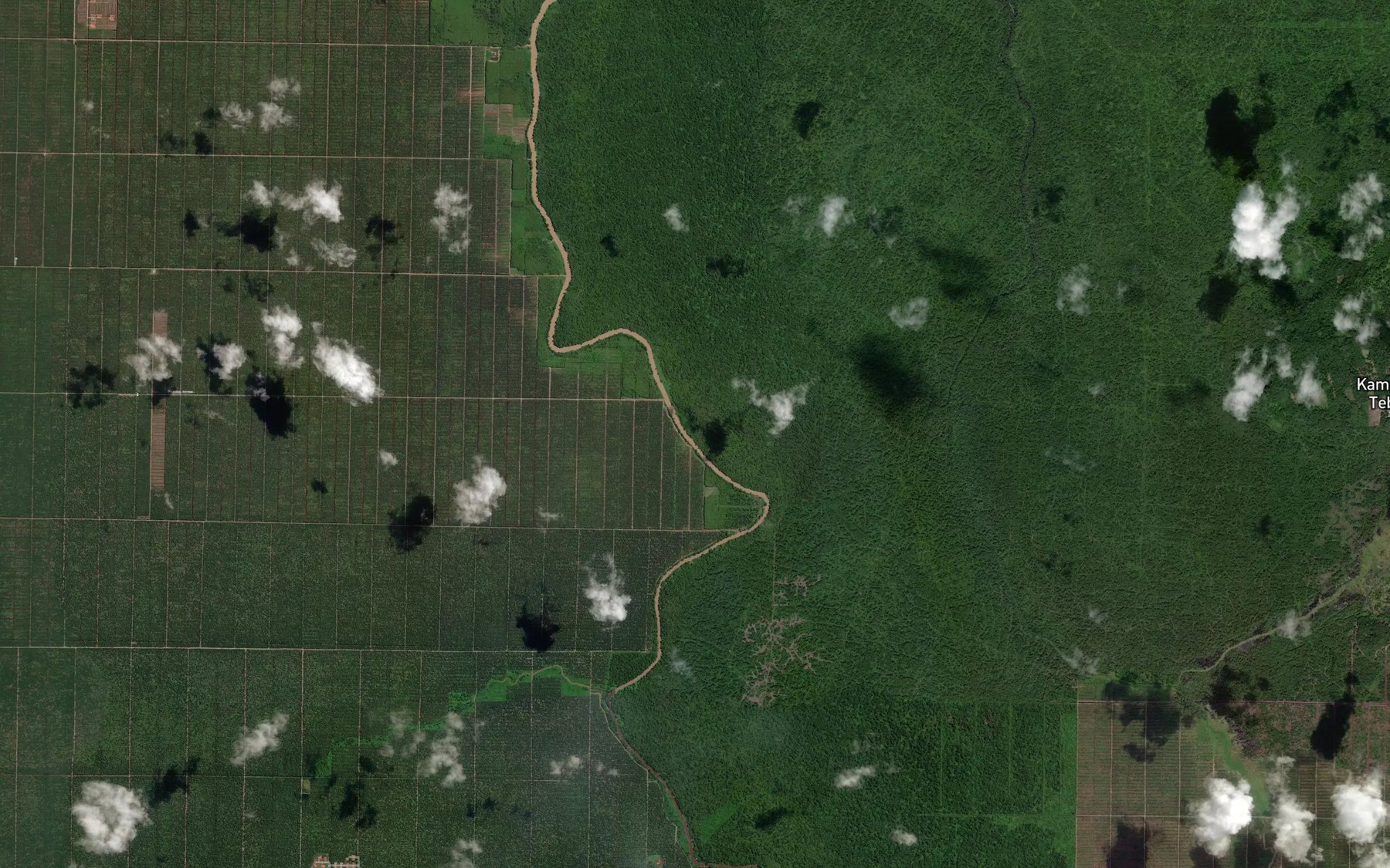 Satellite map of the Tanjong Setigang
