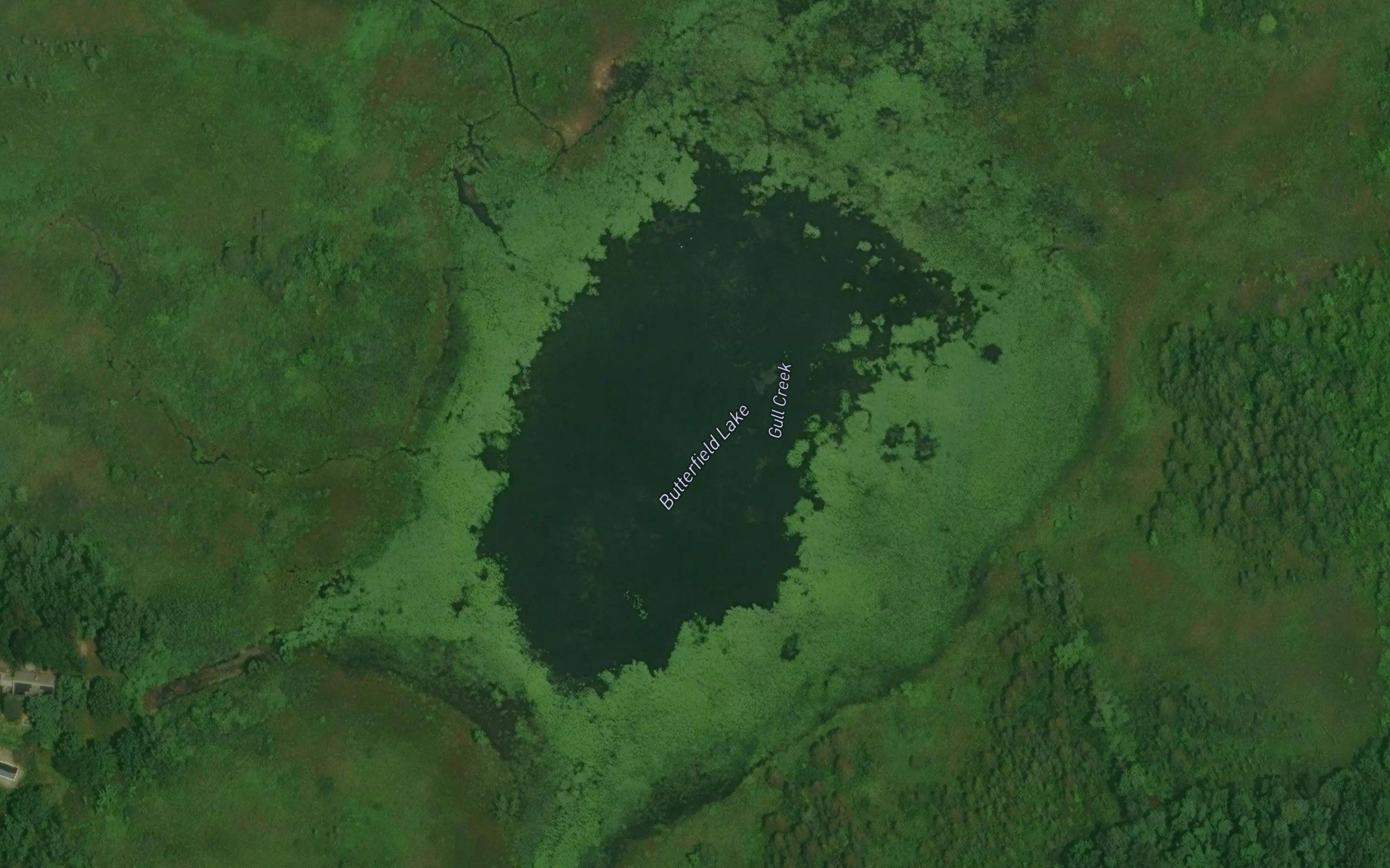 Butterfield Lake