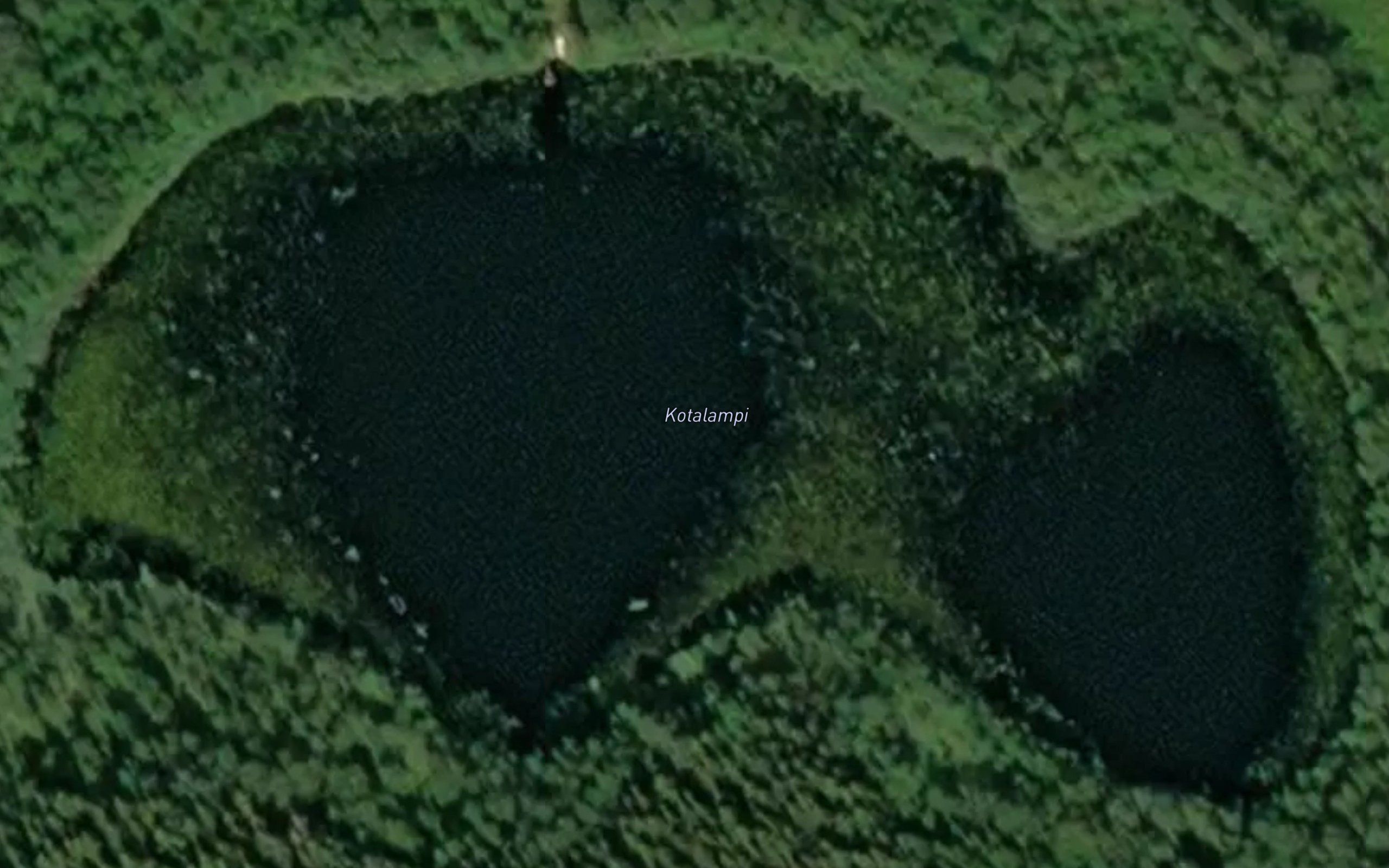 Kotalampi