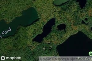 Black Pond