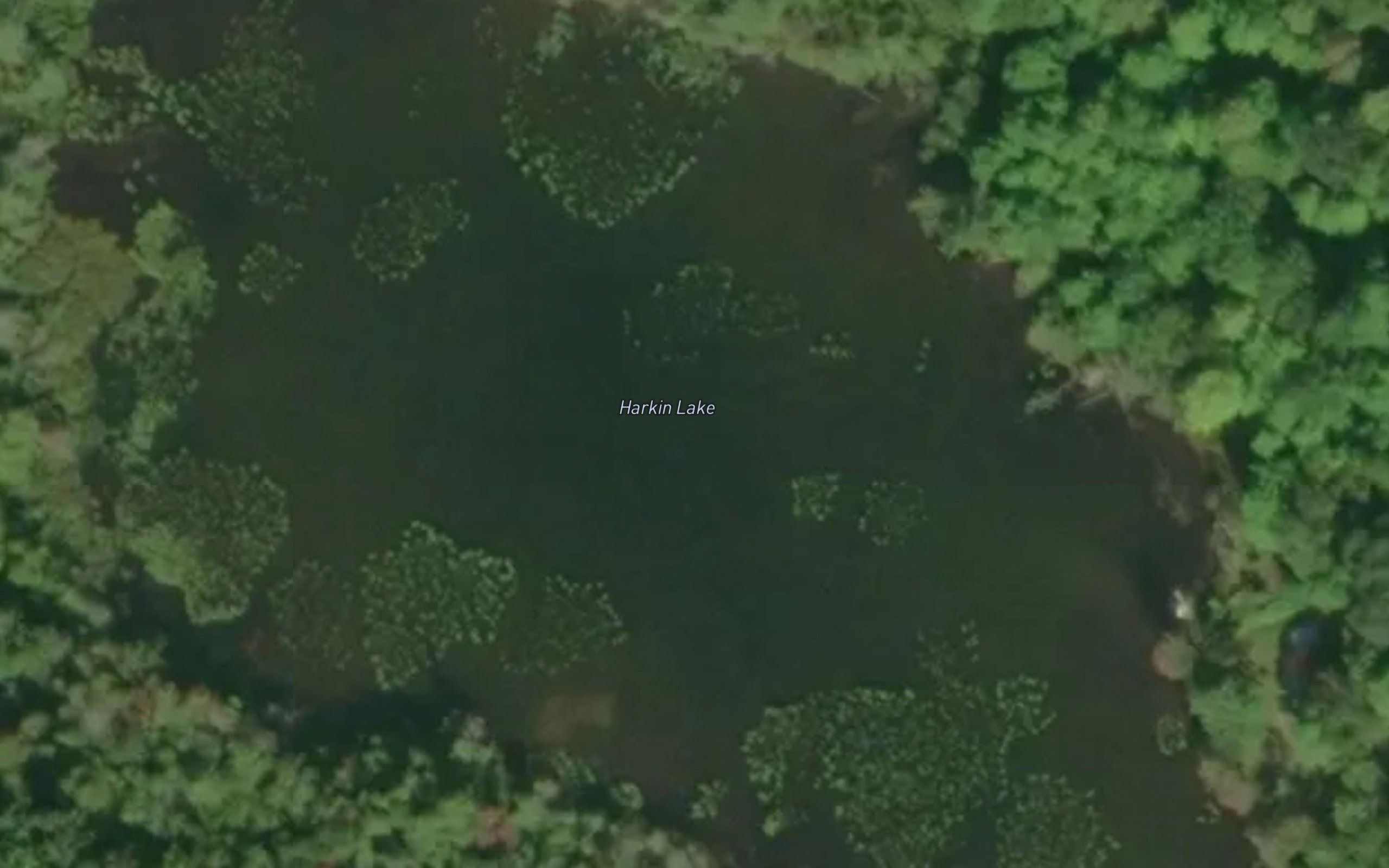 Harkin Lake