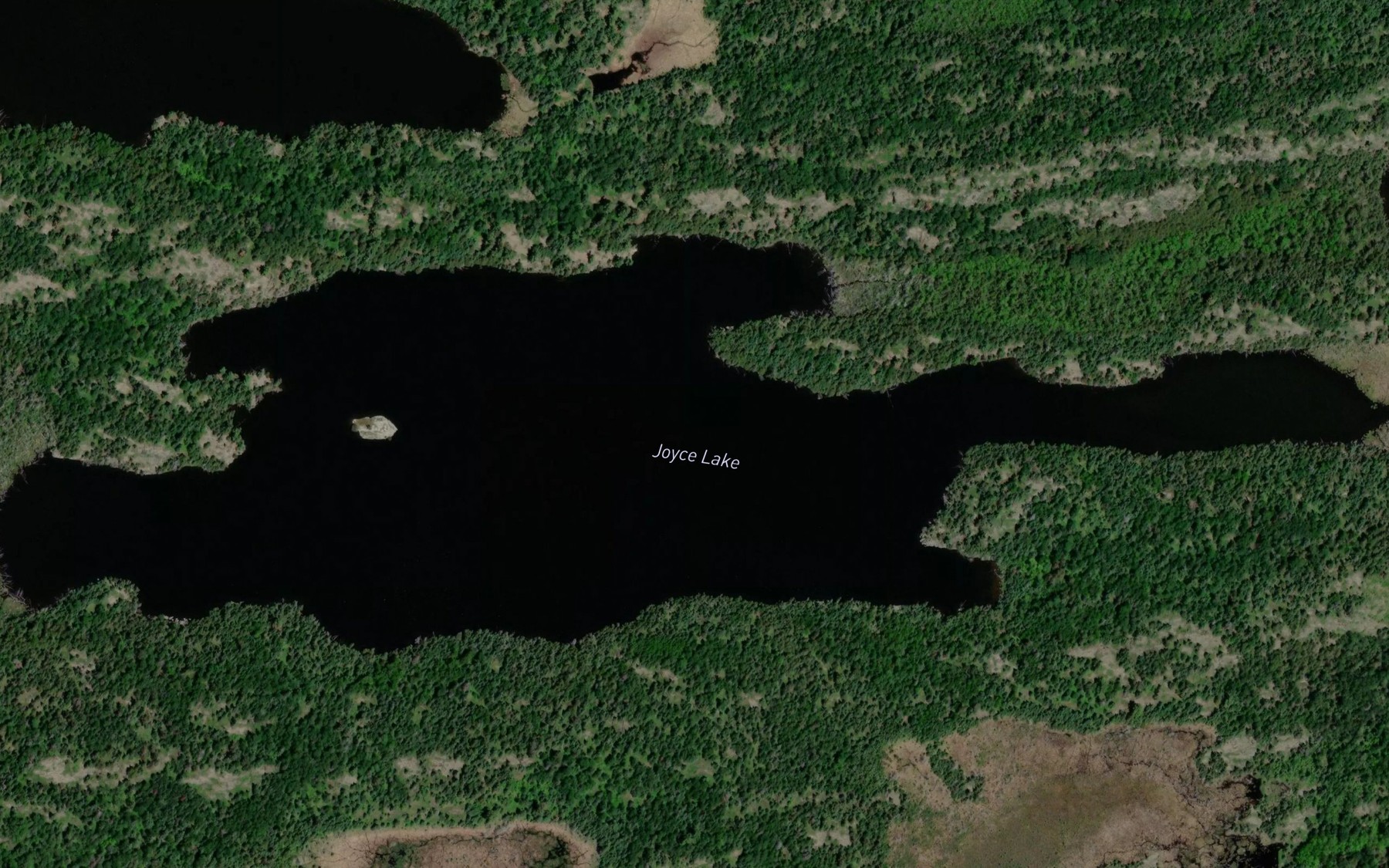 Satellite map of the Joyce Lake