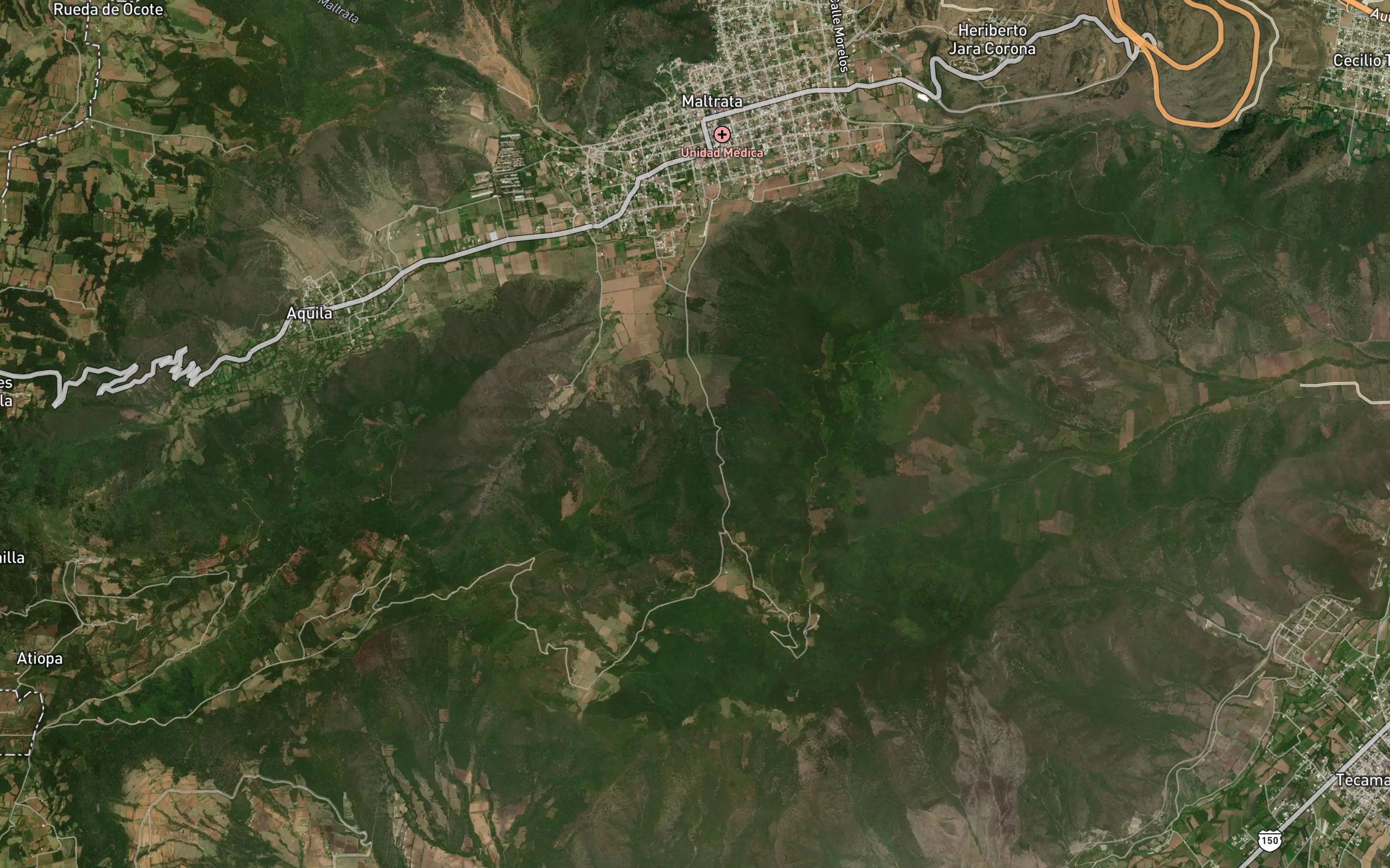 Zacatonal