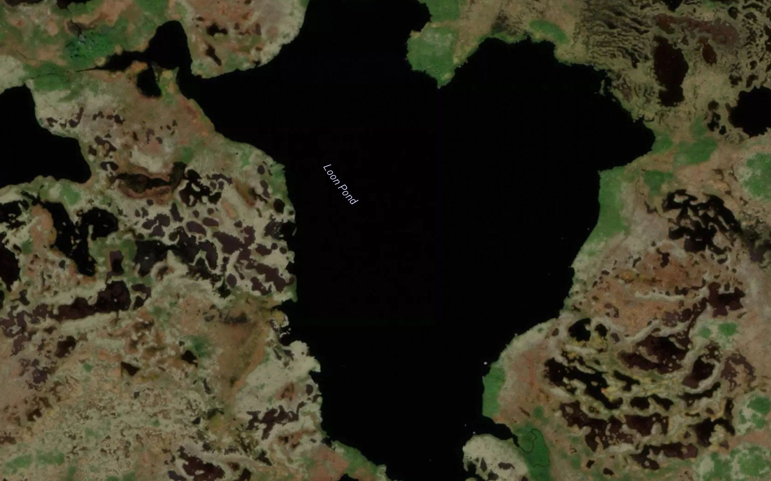 Loon Pond