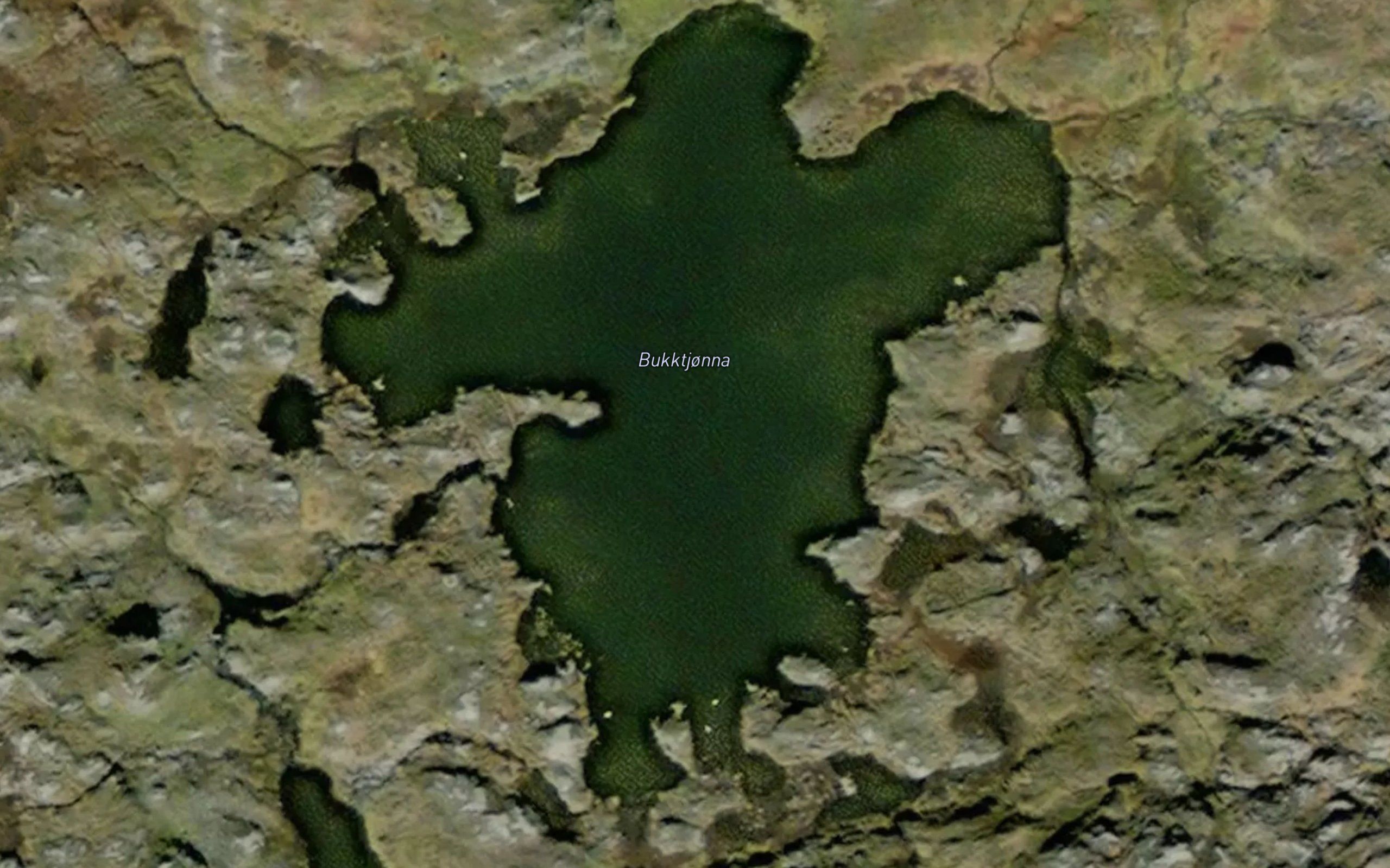 Bukktjonna
