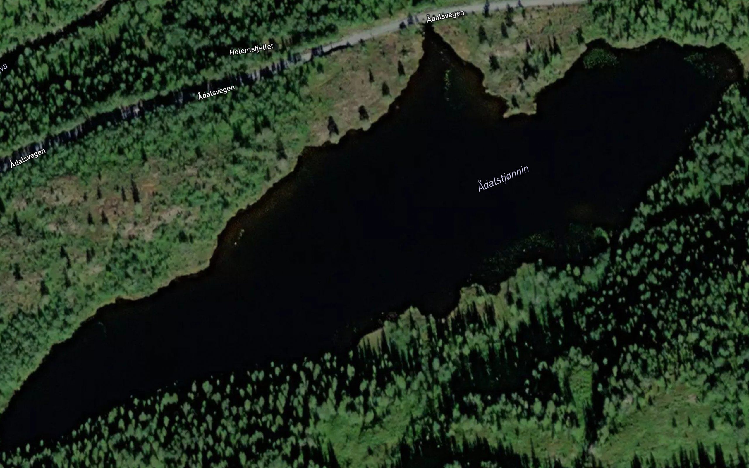 Adalstjornin