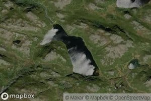 Storfisktjorni