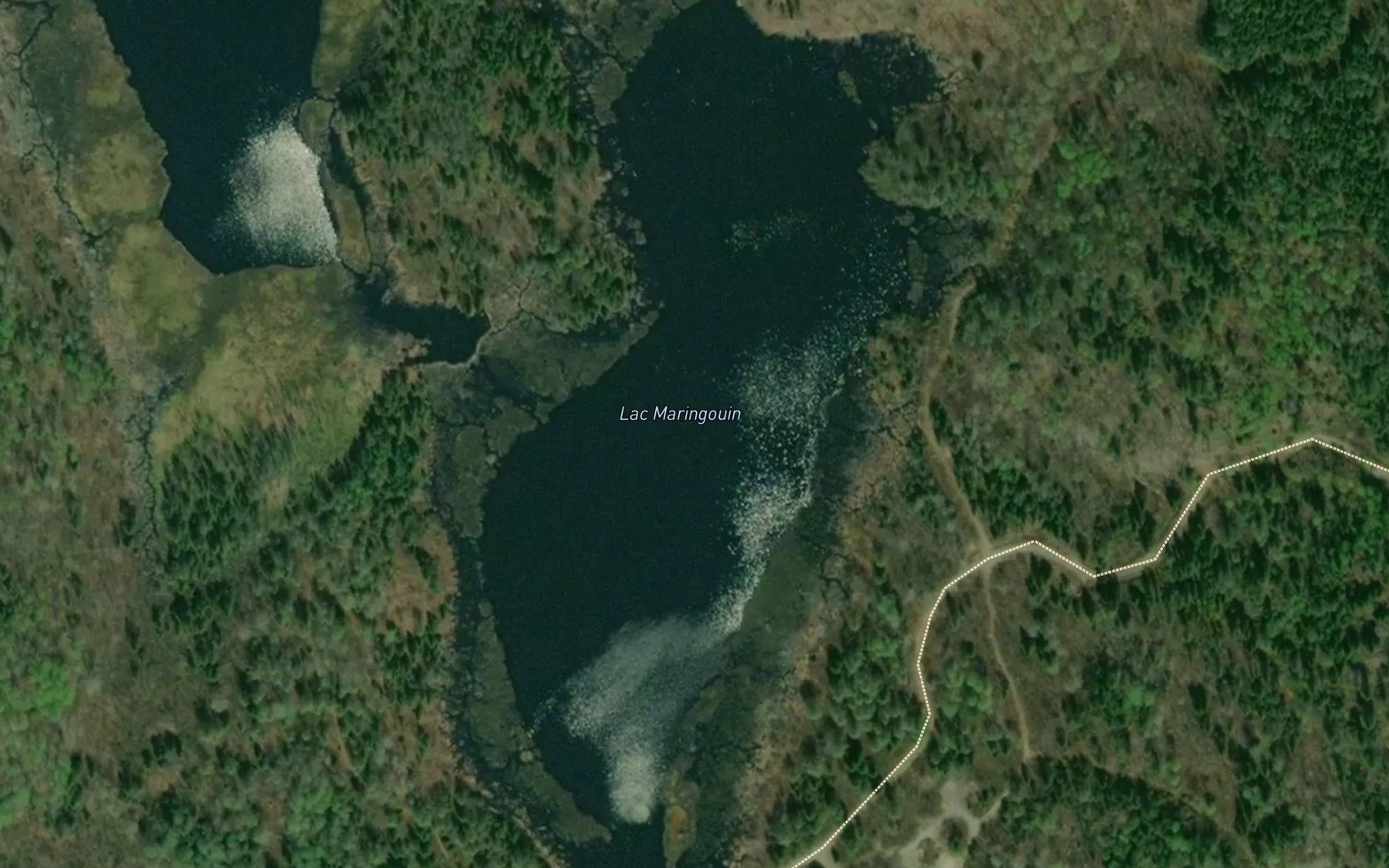 Satellite map of the Lac Maringouin