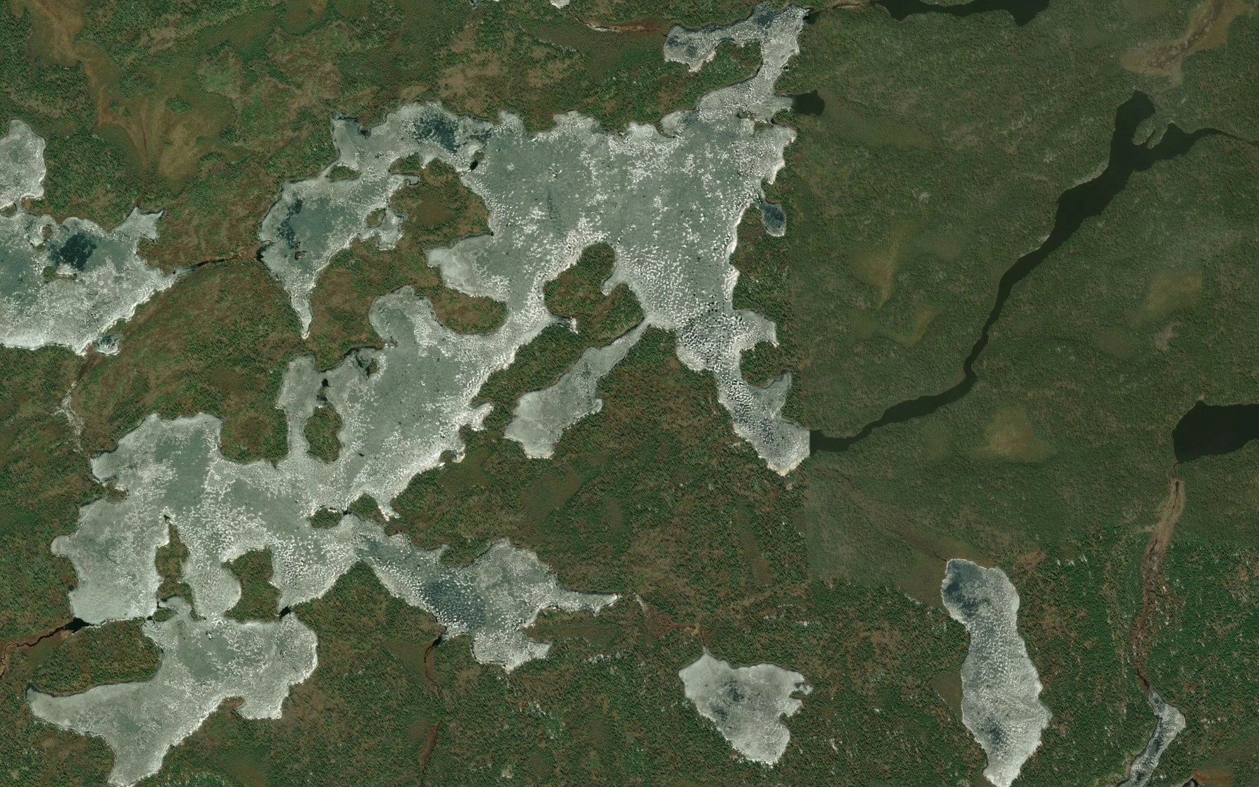 Satellite map of the Woodey Lake