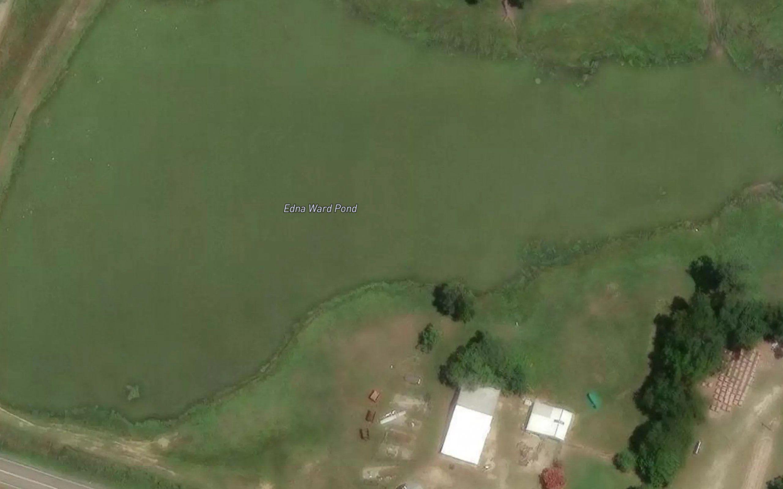 Edna Ward Pond