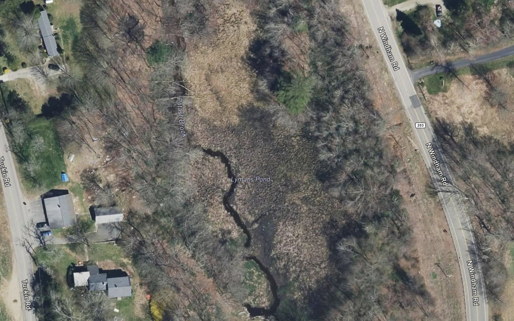 Satellite map of the Lymans Pond