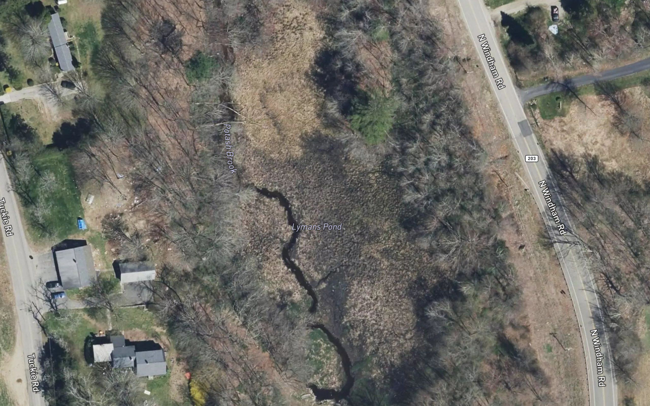 Lymans Pond