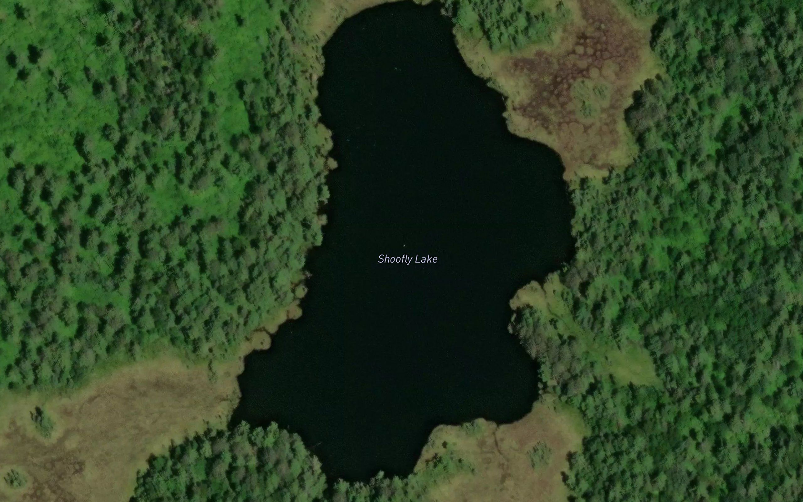 Shoofly Lake