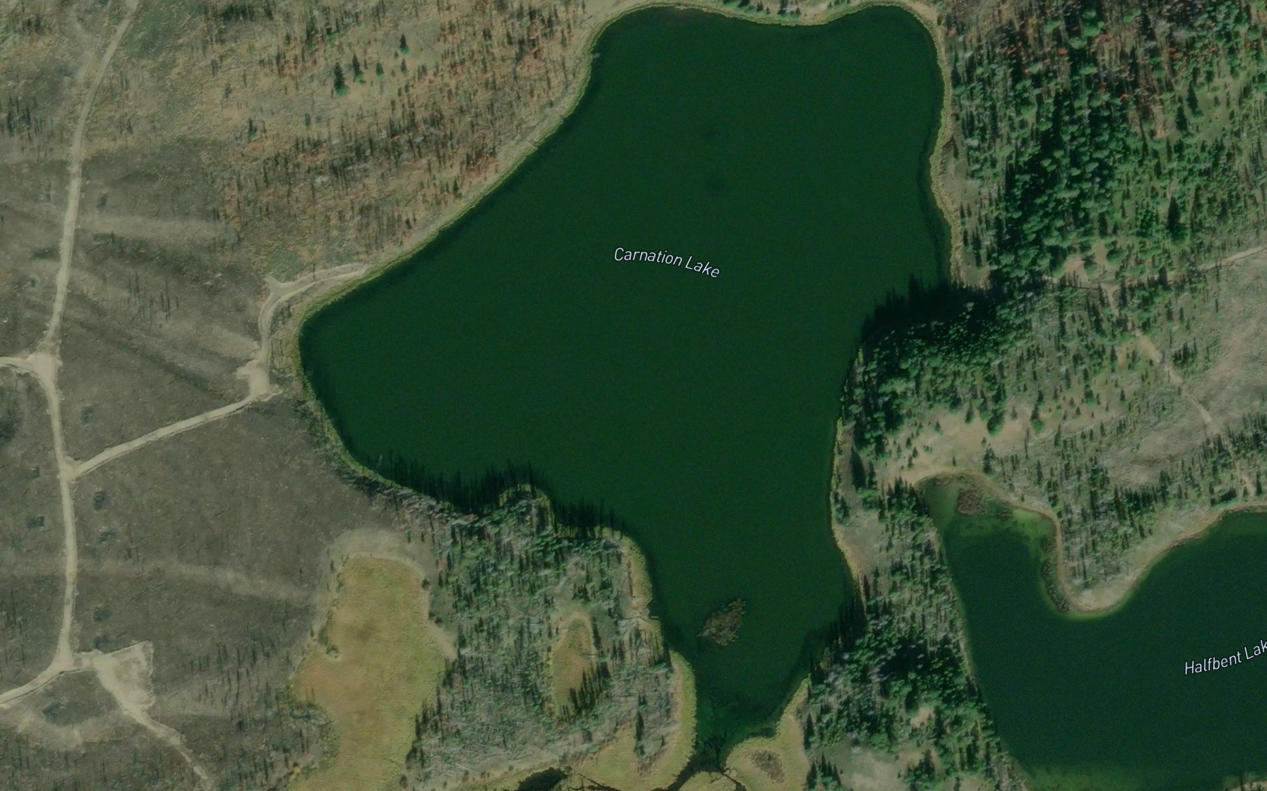 Carnation Lake